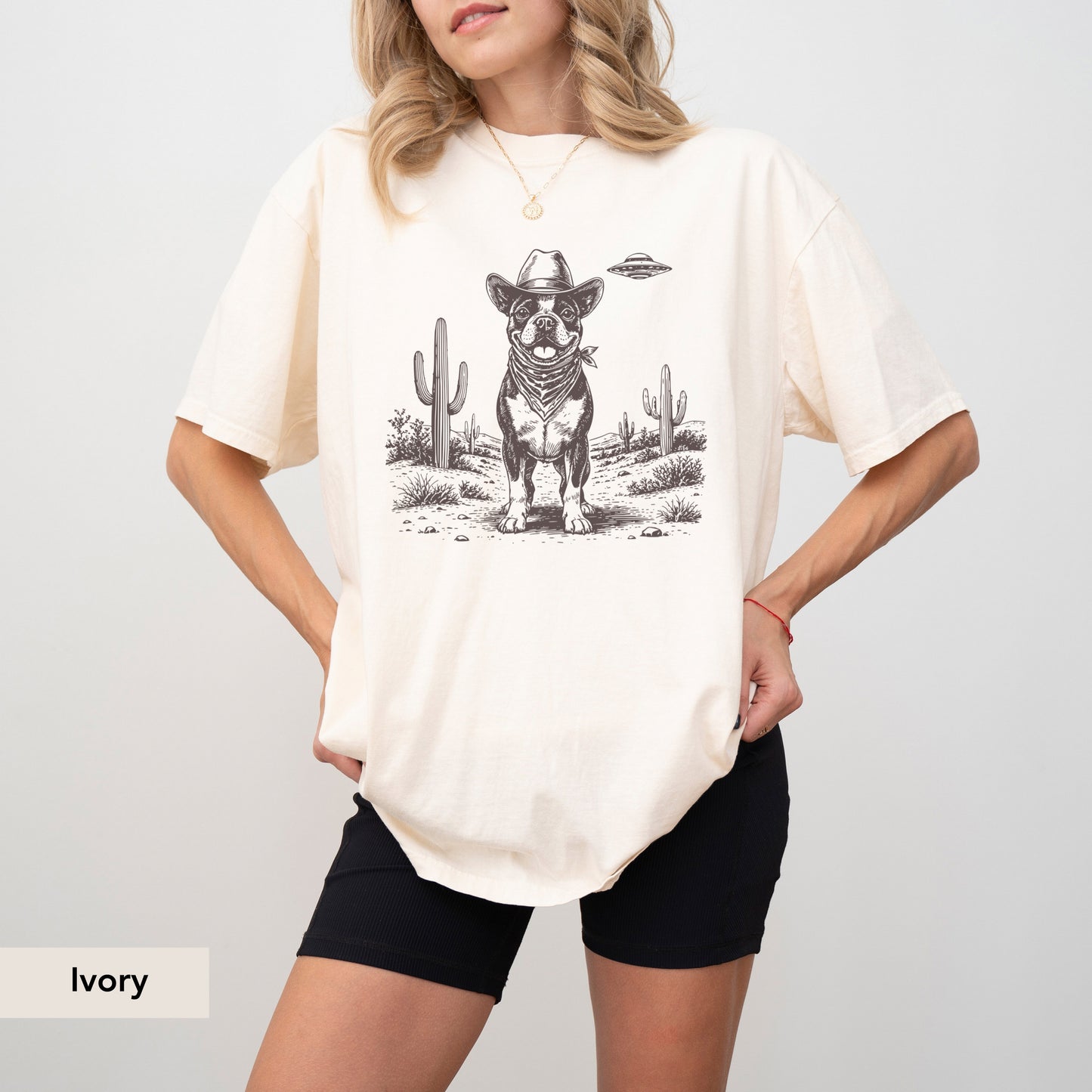 Boston Terrier UFO shirt