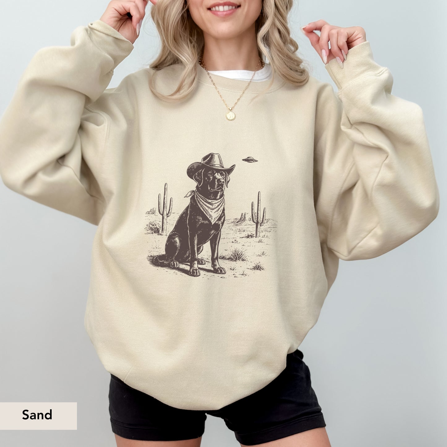 Labrador Retriever UFO Sweatshirt