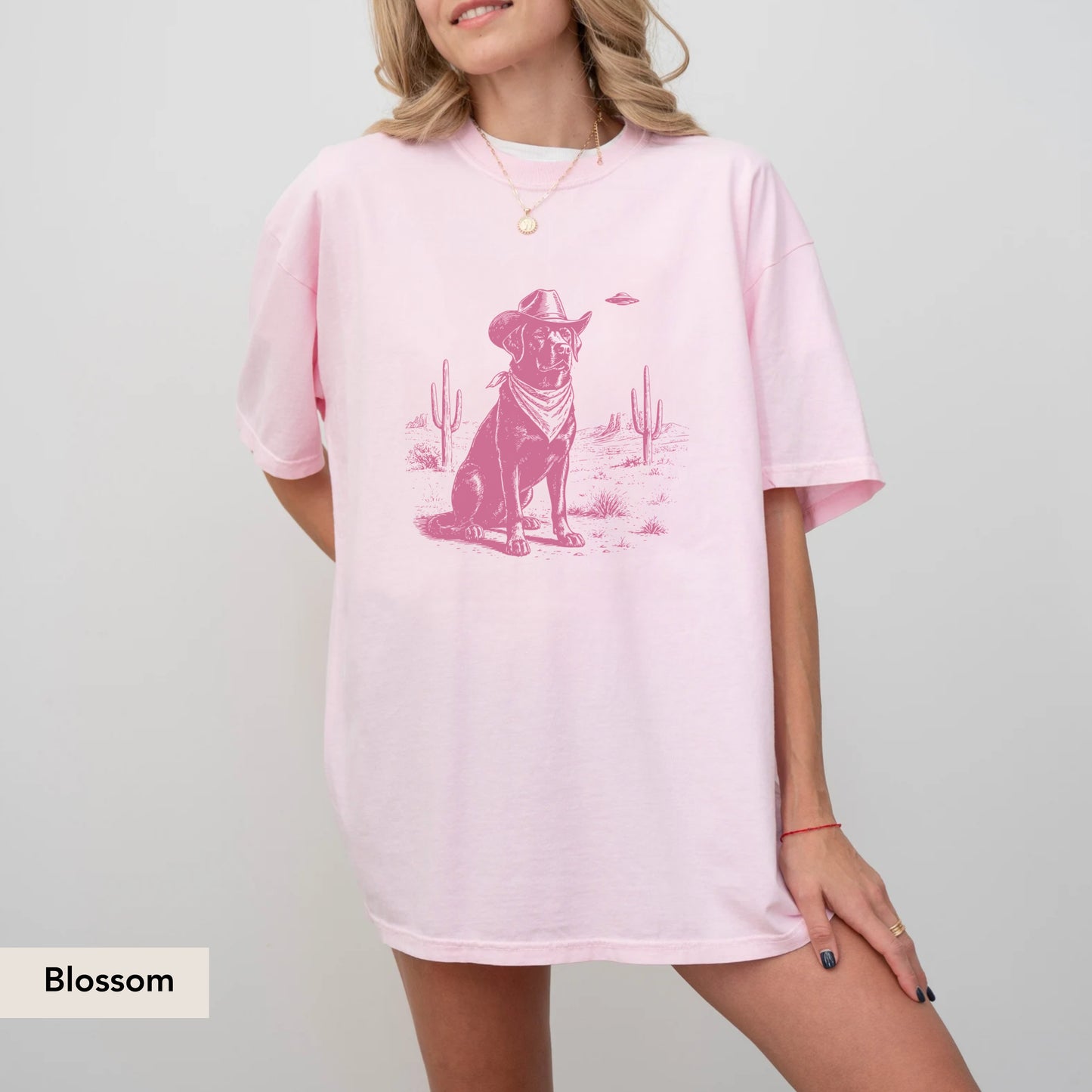 Labrador Retriever UFO shirt