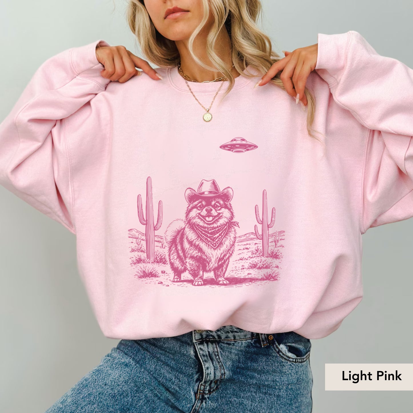 Pomeranian UFO Sweatshirt
