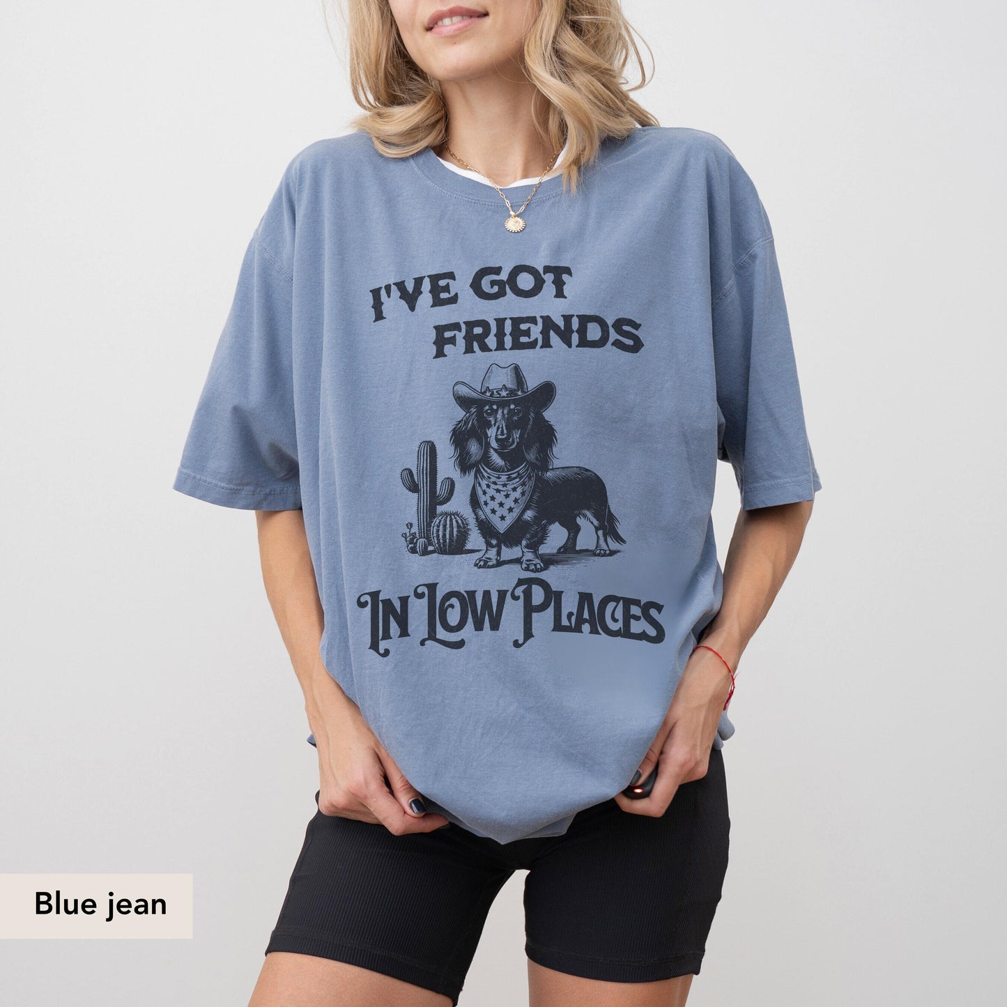 Dachshund Long Haired Shirt, I've Got Friends In Low Places, Doxie, Dachshund Sweatshirt, Dachshund Gift, sausage dog, Dachshund shirt
