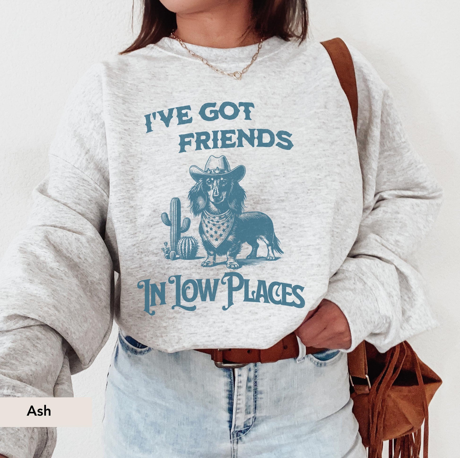 Dachshund Long Haired Sweatshirt, I've Got Friends In Low Places, Doxie, Dachshund Sweatshirt, Dachshund Gift, sausage dog, Dachshund shirt