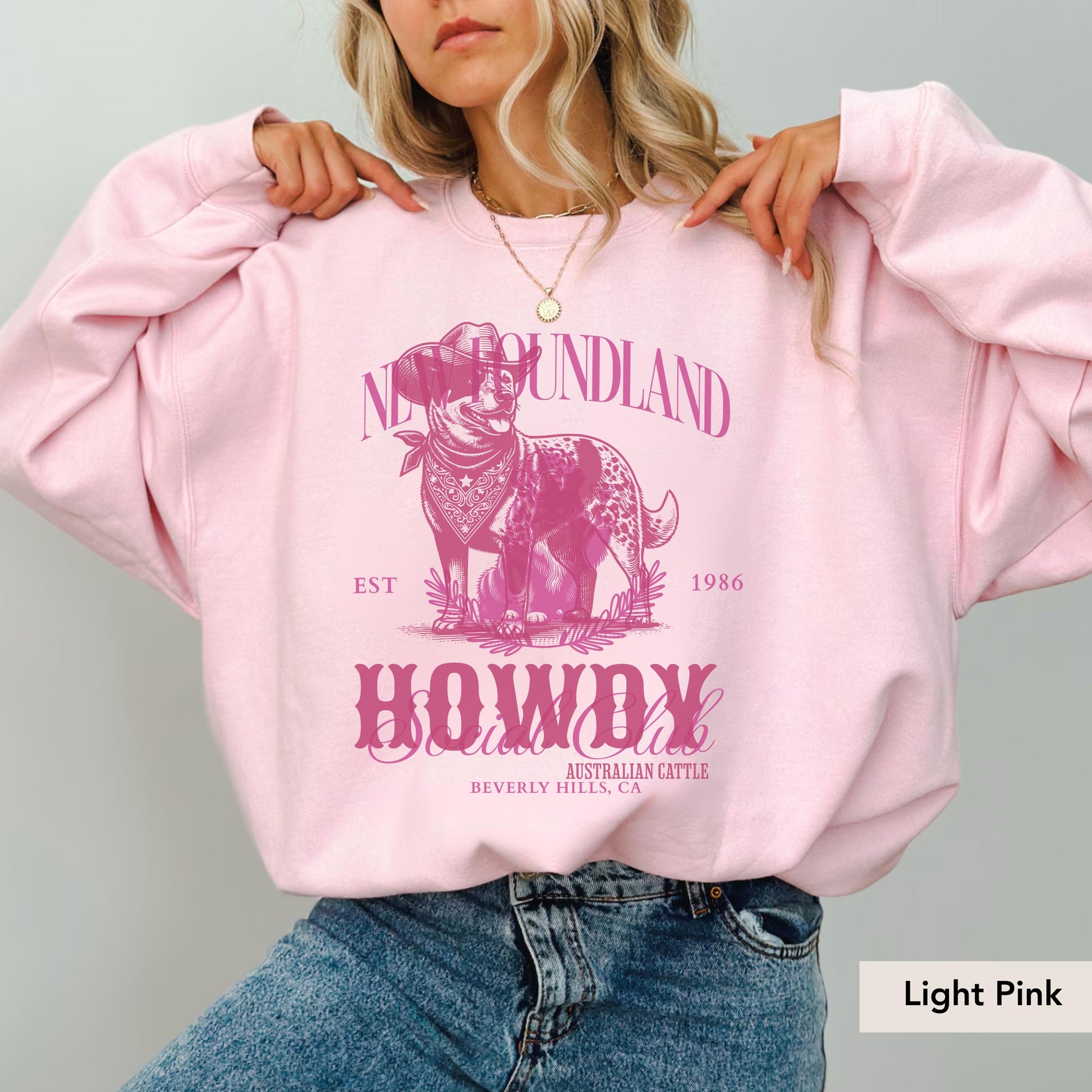 Howdy Australian Cattle Dog sweatshirt, Australian Cattle Gift, Blue Heeler shirt, Australian Cattle dog shirt,Heeler dog gift