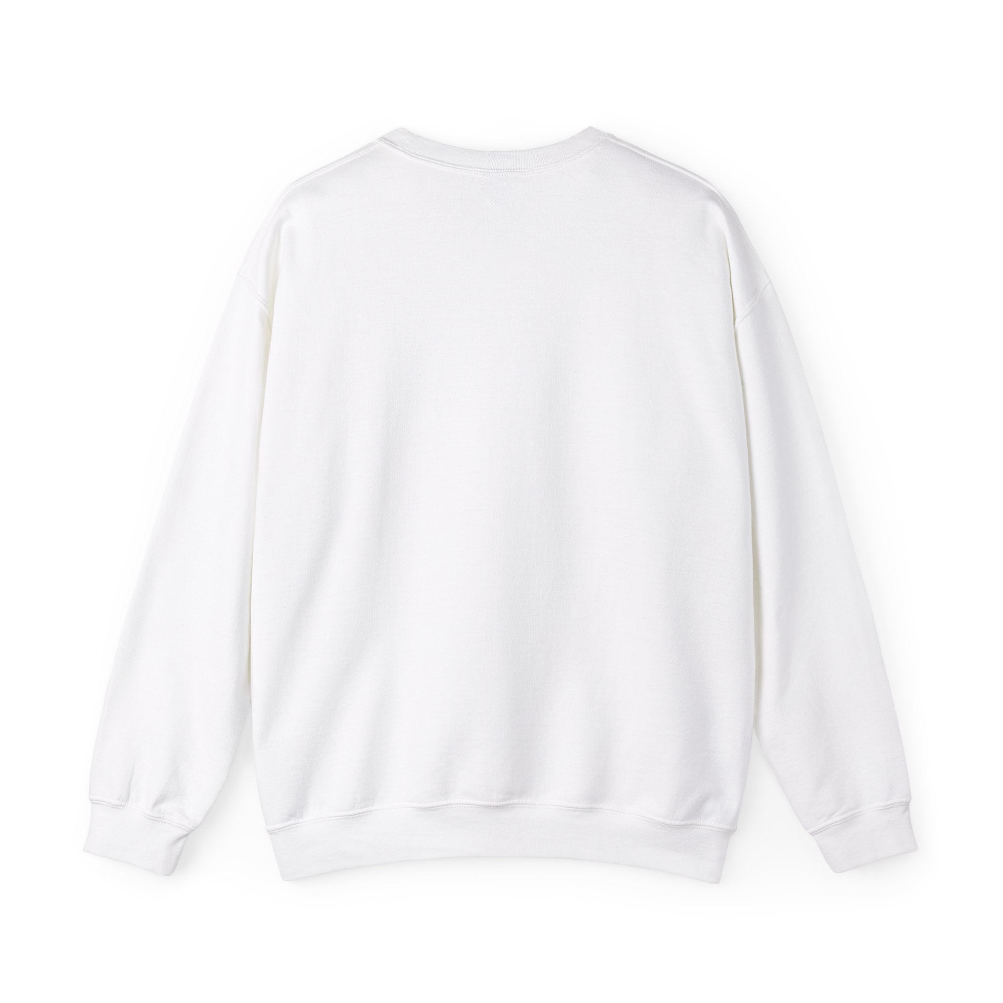 howdy labrador sweater