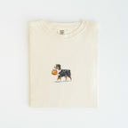 Australian Shepherd Tri Color Halloween T-shirt