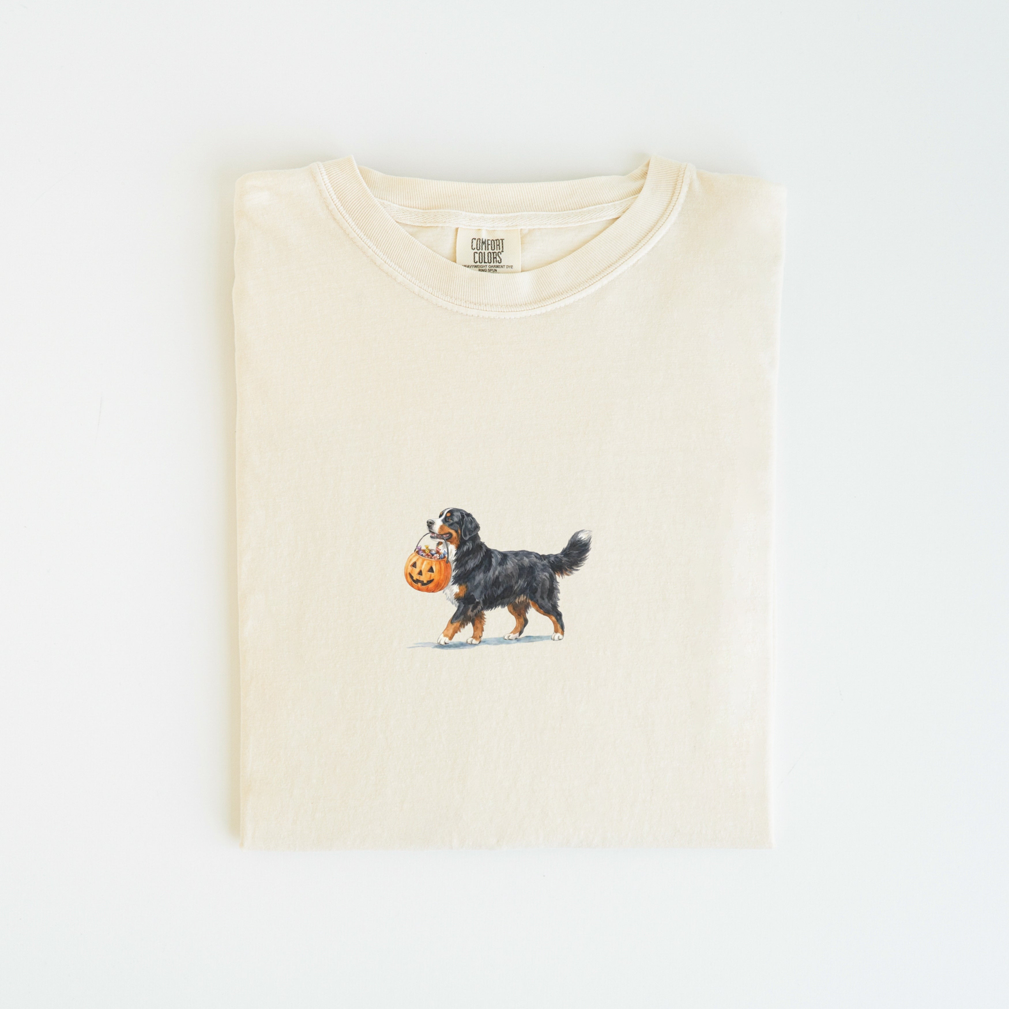Bernese Mountain Halloween T-shirt