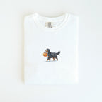 Bernese Mountain Halloween T-shirt
