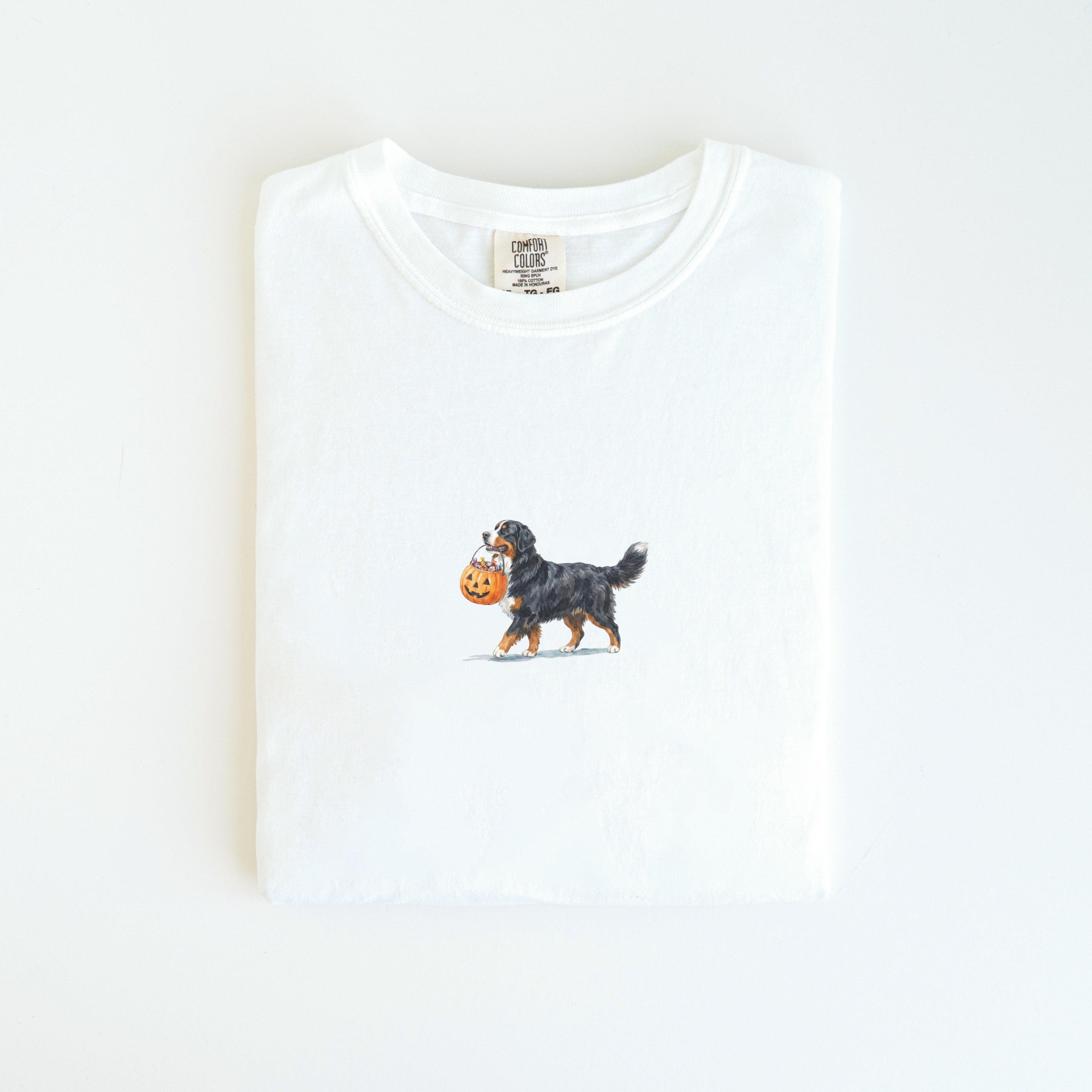 Bernese Mountain Halloween T-shirt