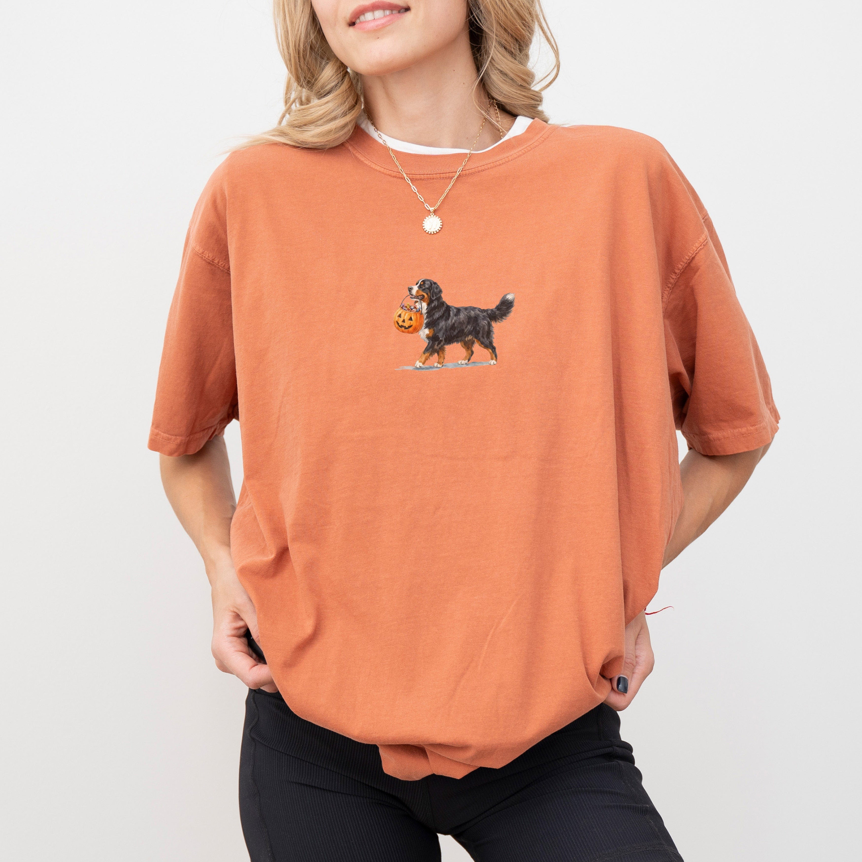 Bernese Mountain Halloween T-shirt