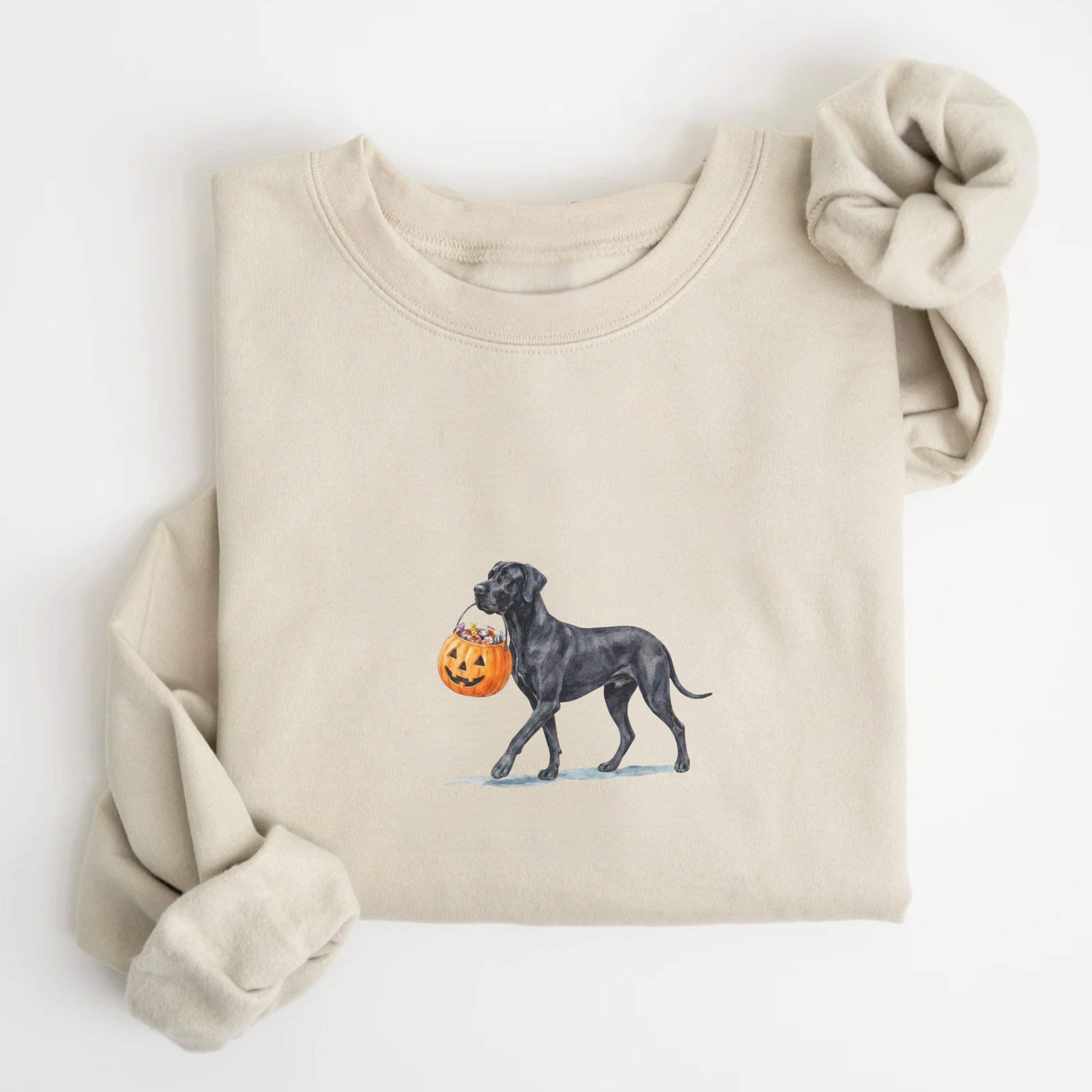 Black Great Dane Halloween Sweatshirt