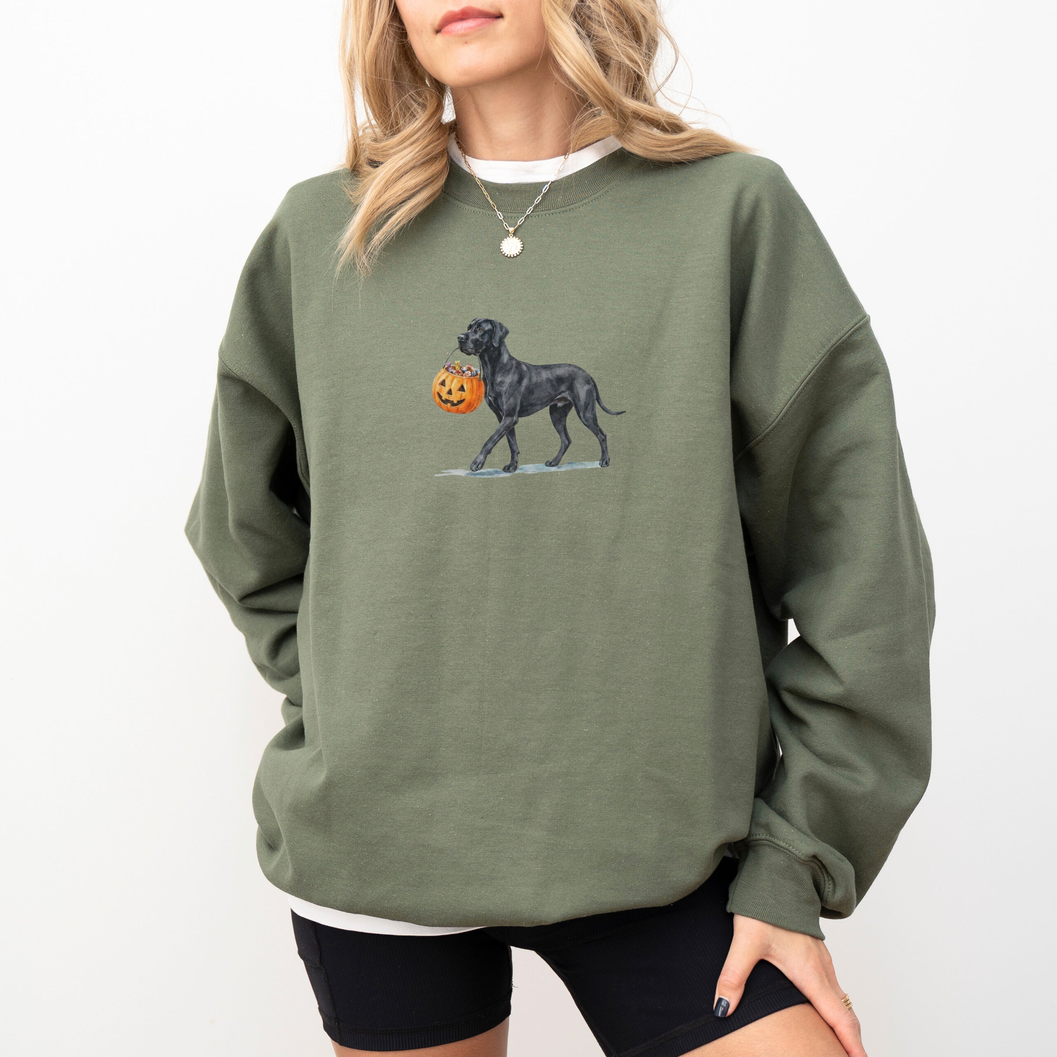 Black Great Dane Halloween Sweatshirt