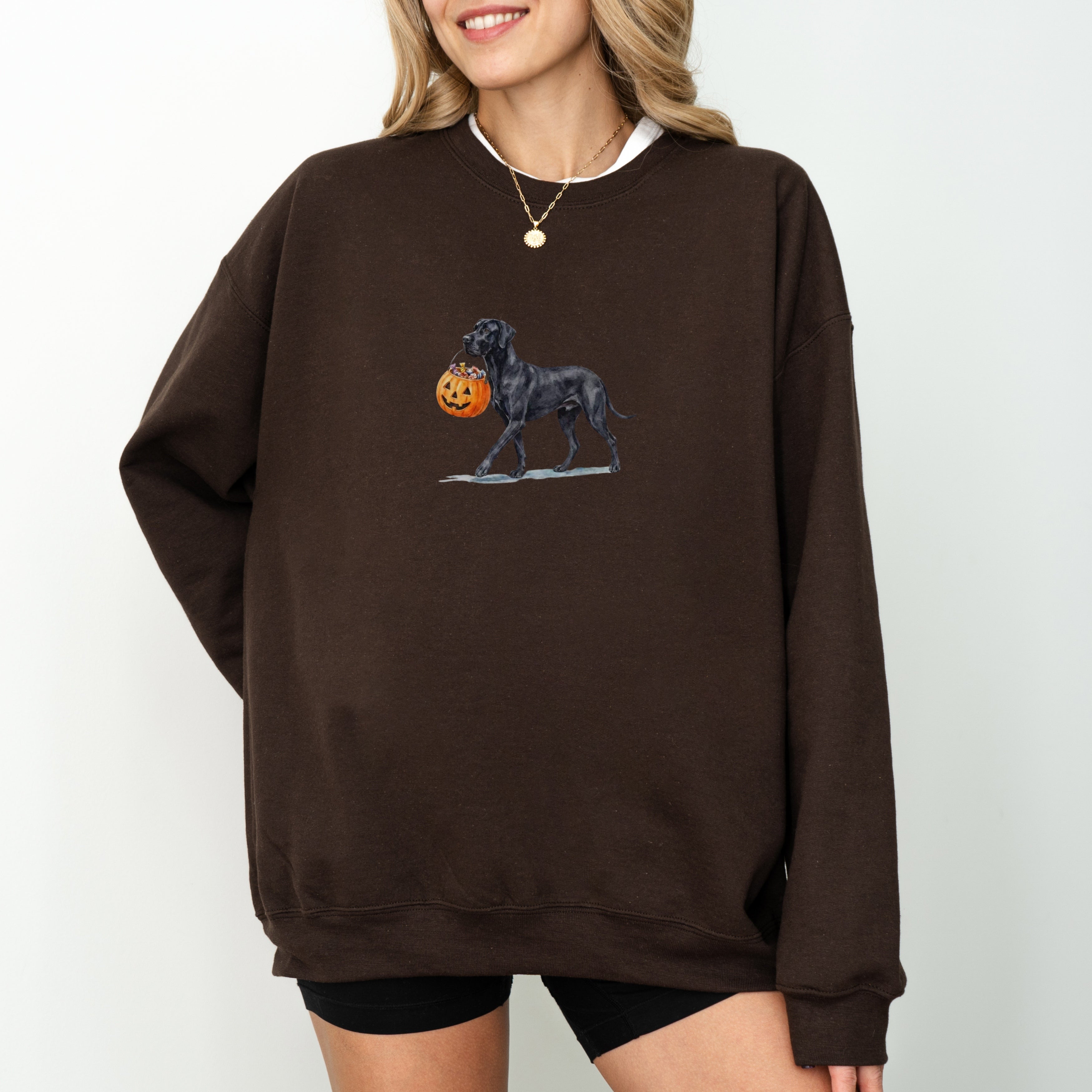Black Great Dane Halloween Sweatshirt