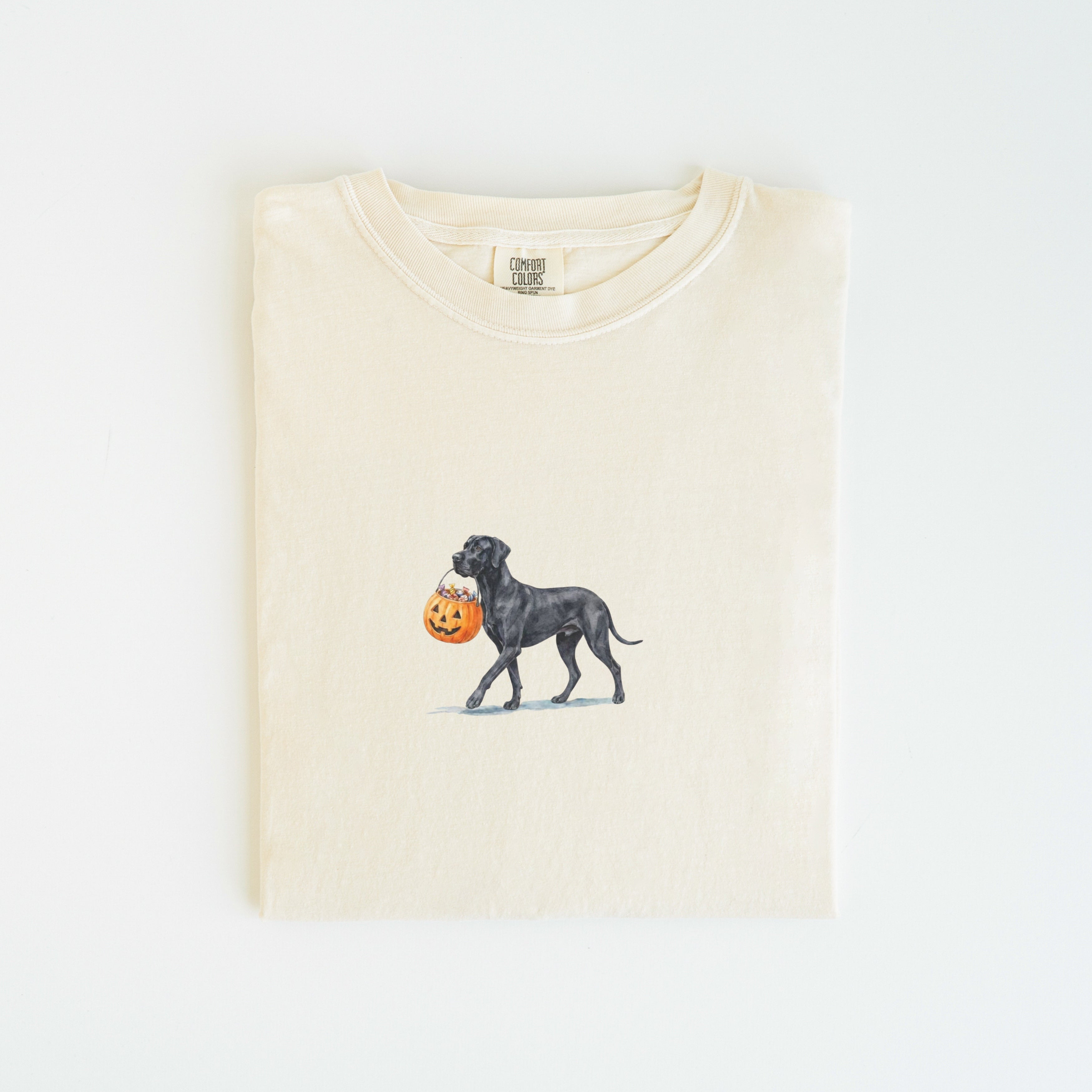Black Great dane Halloween T-shirt