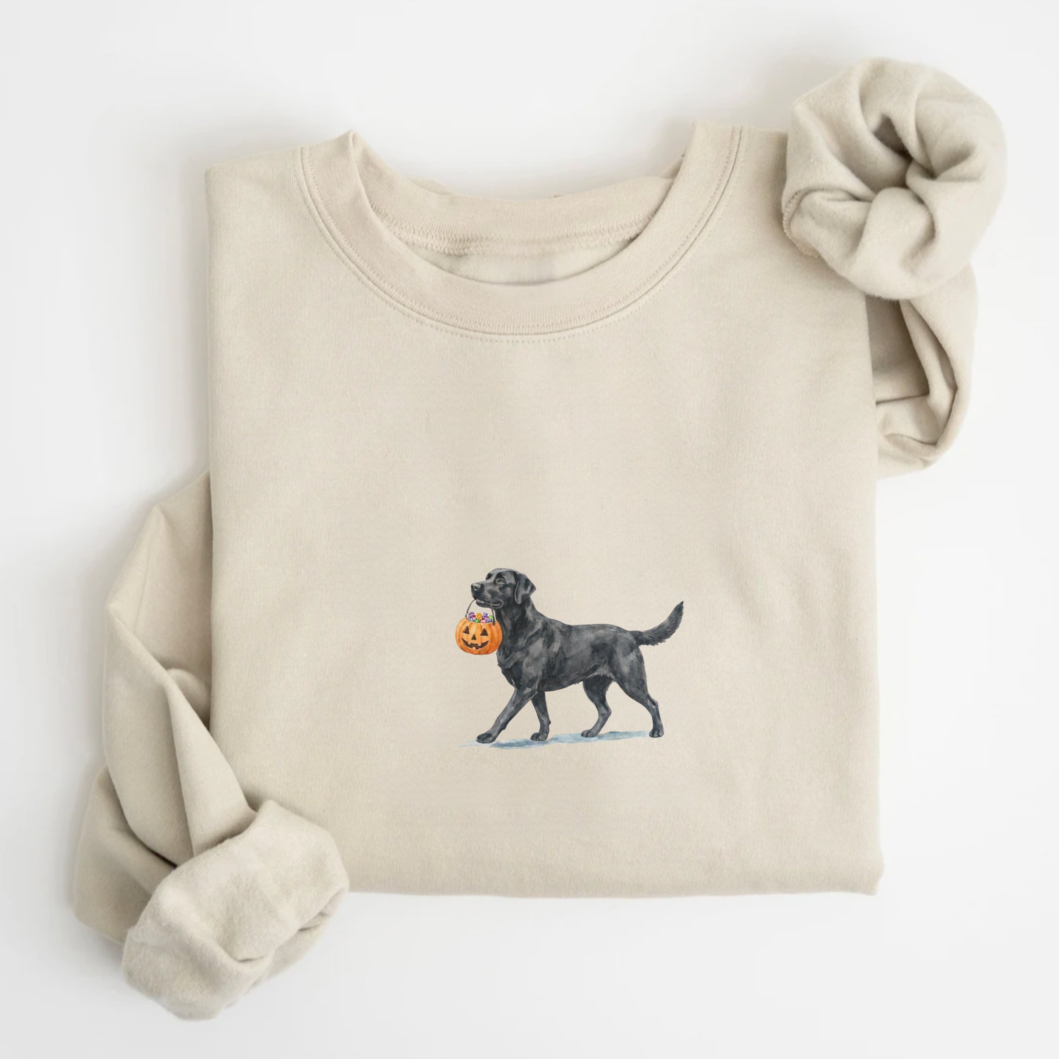 Black Labrador Halloween Sweatshirt