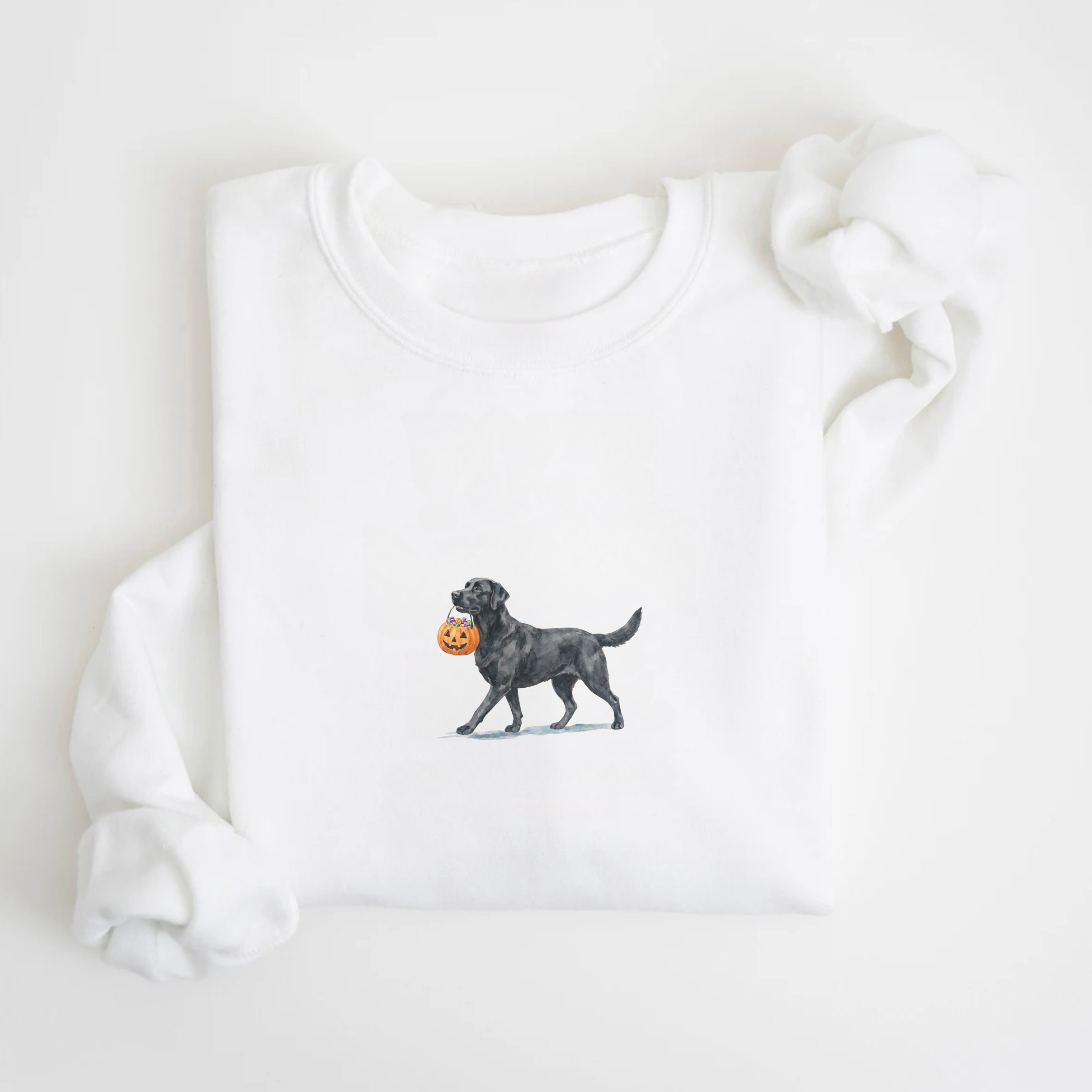 Black Labrador Halloween Sweatshirt