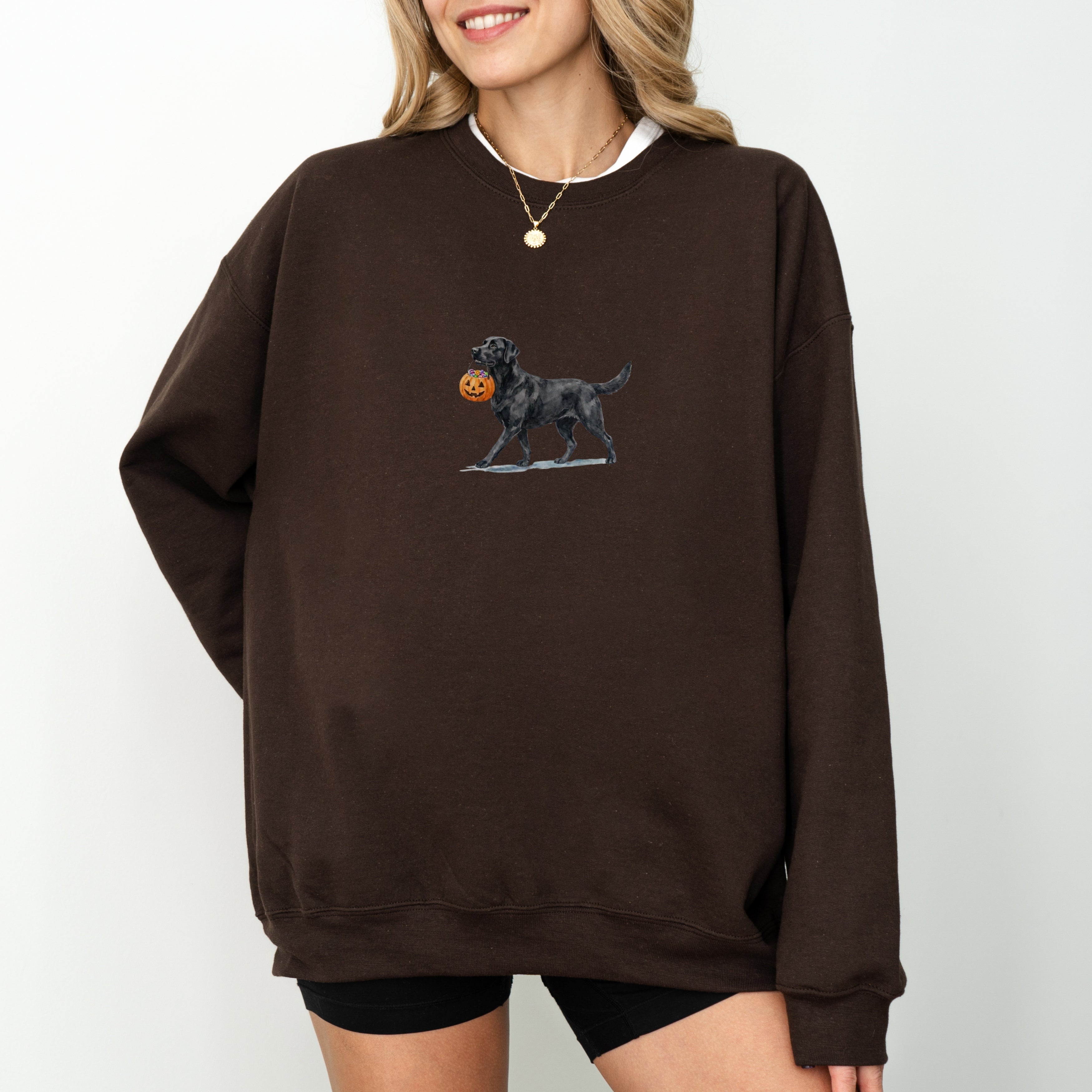 Black Labrador Halloween Sweatshirt