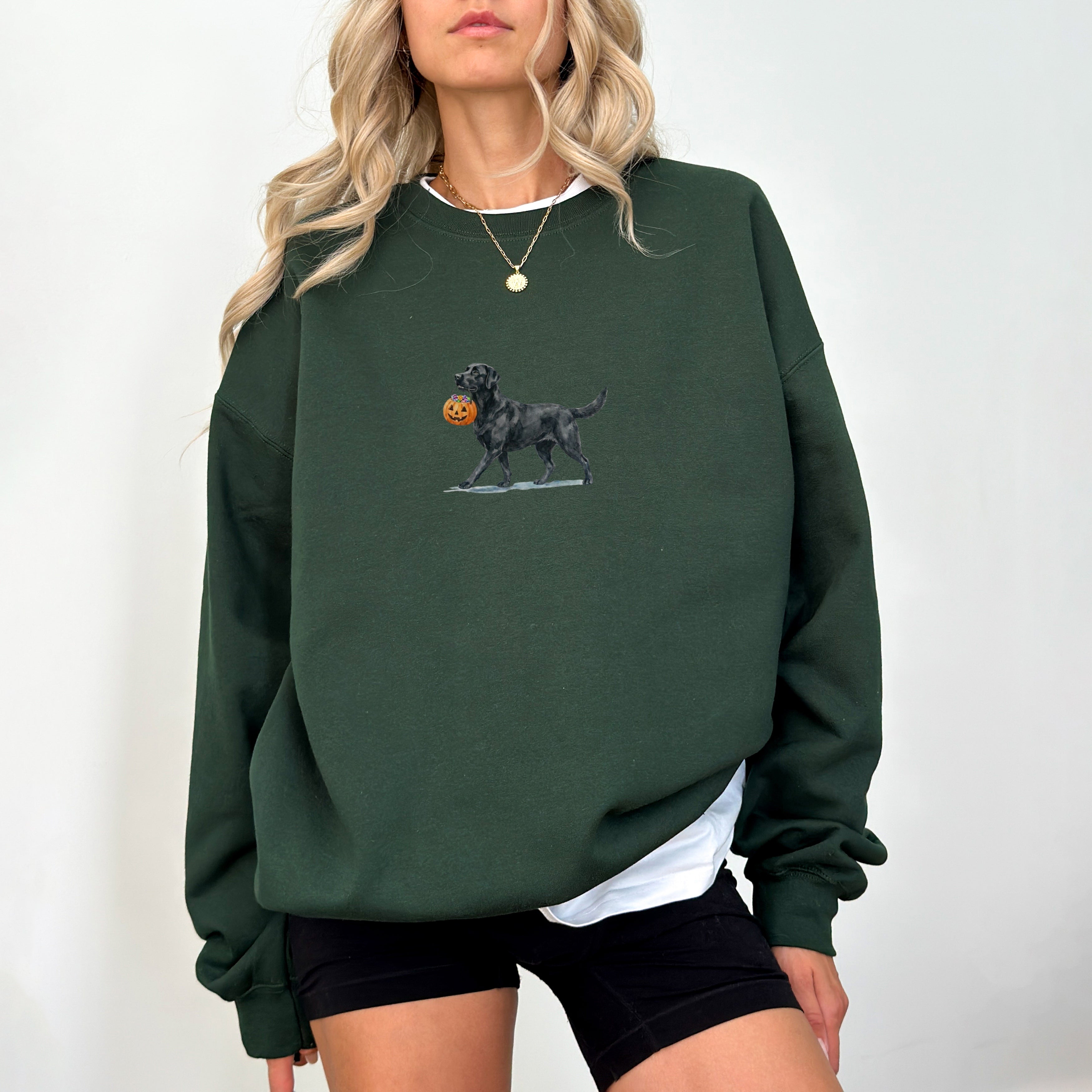 Black Labrador Halloween Sweatshirt