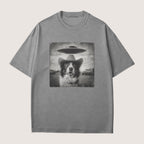 Border Collie Dog Funny Shirt