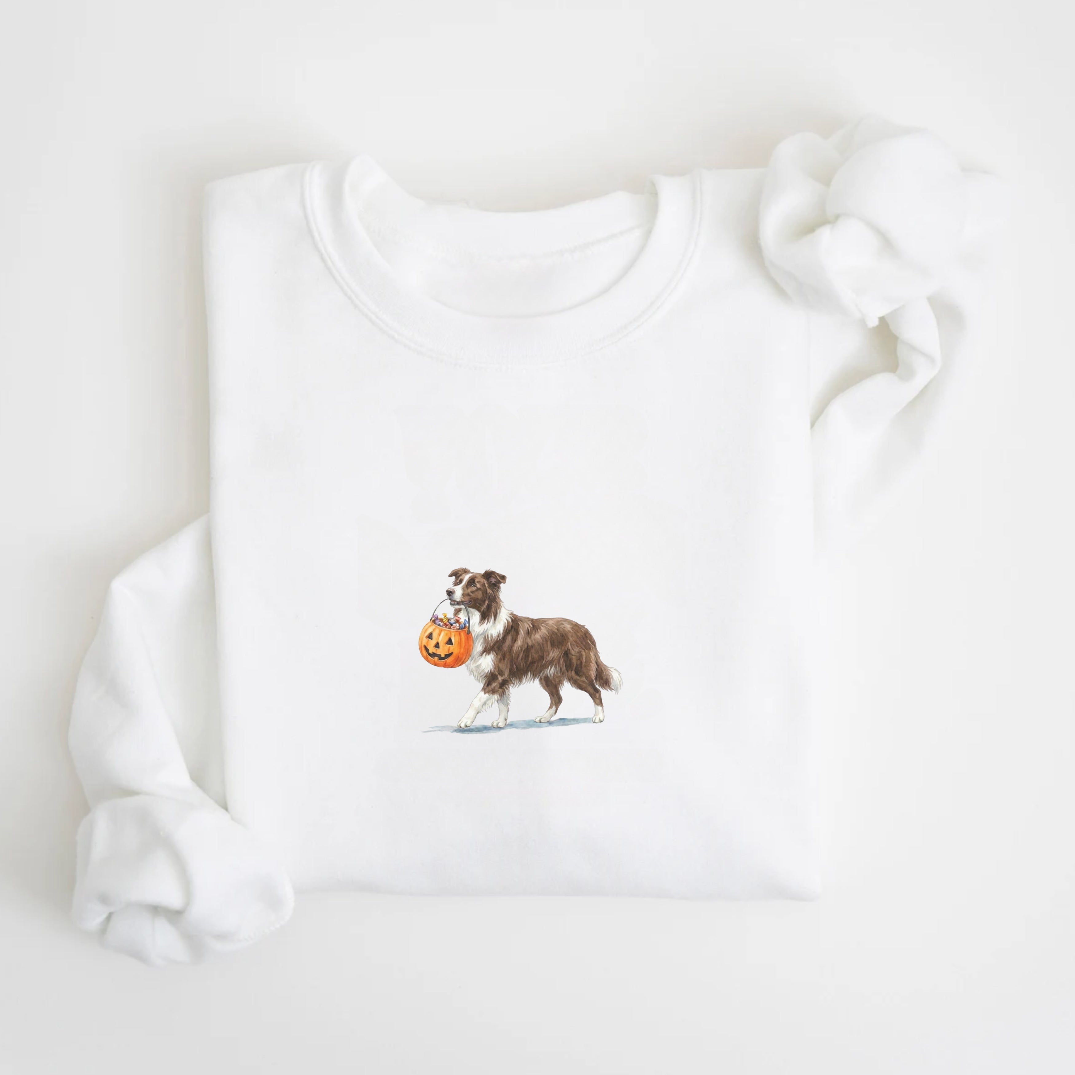 Border Collie Halloween Sweatshirt