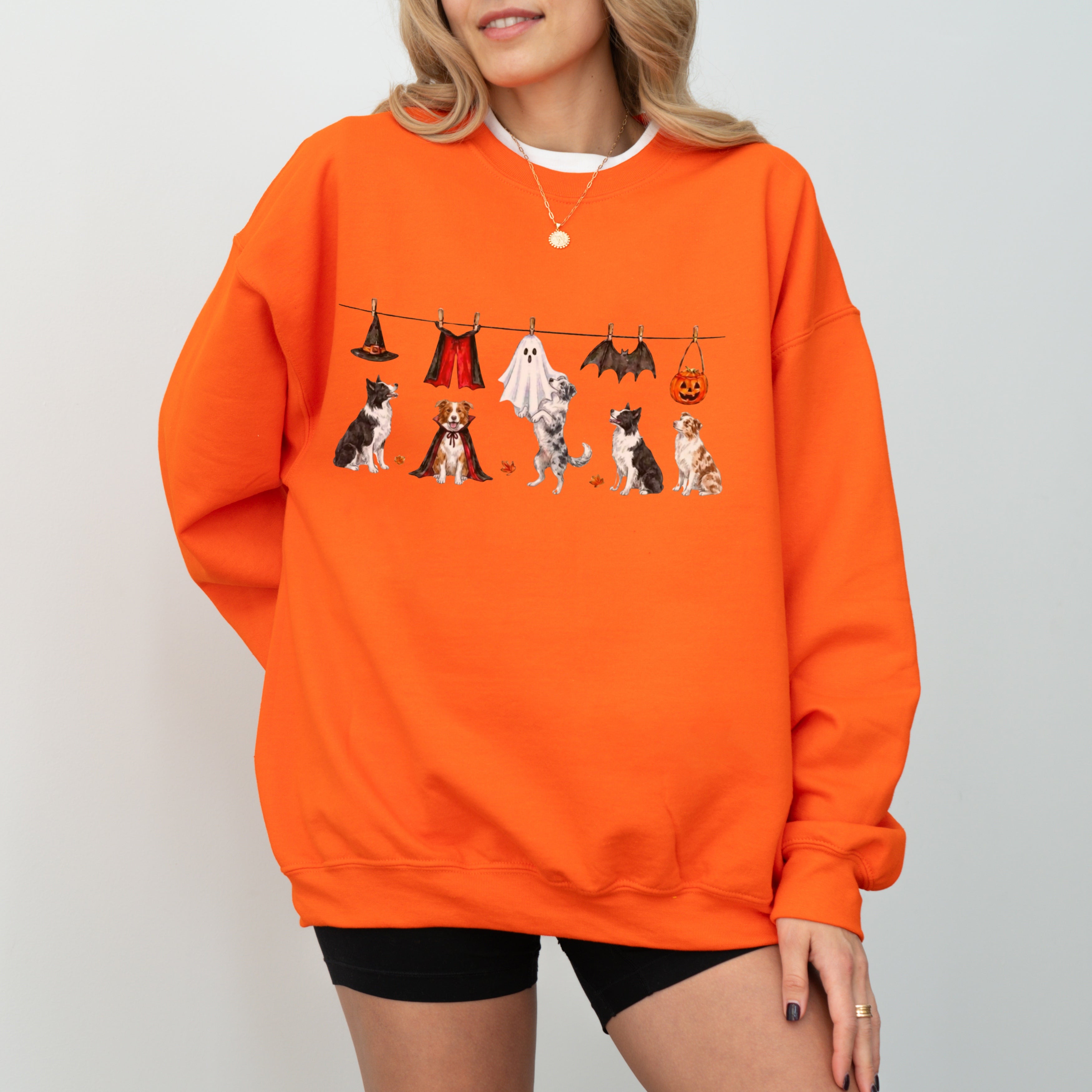 Border collie Halloween Sweatshirt