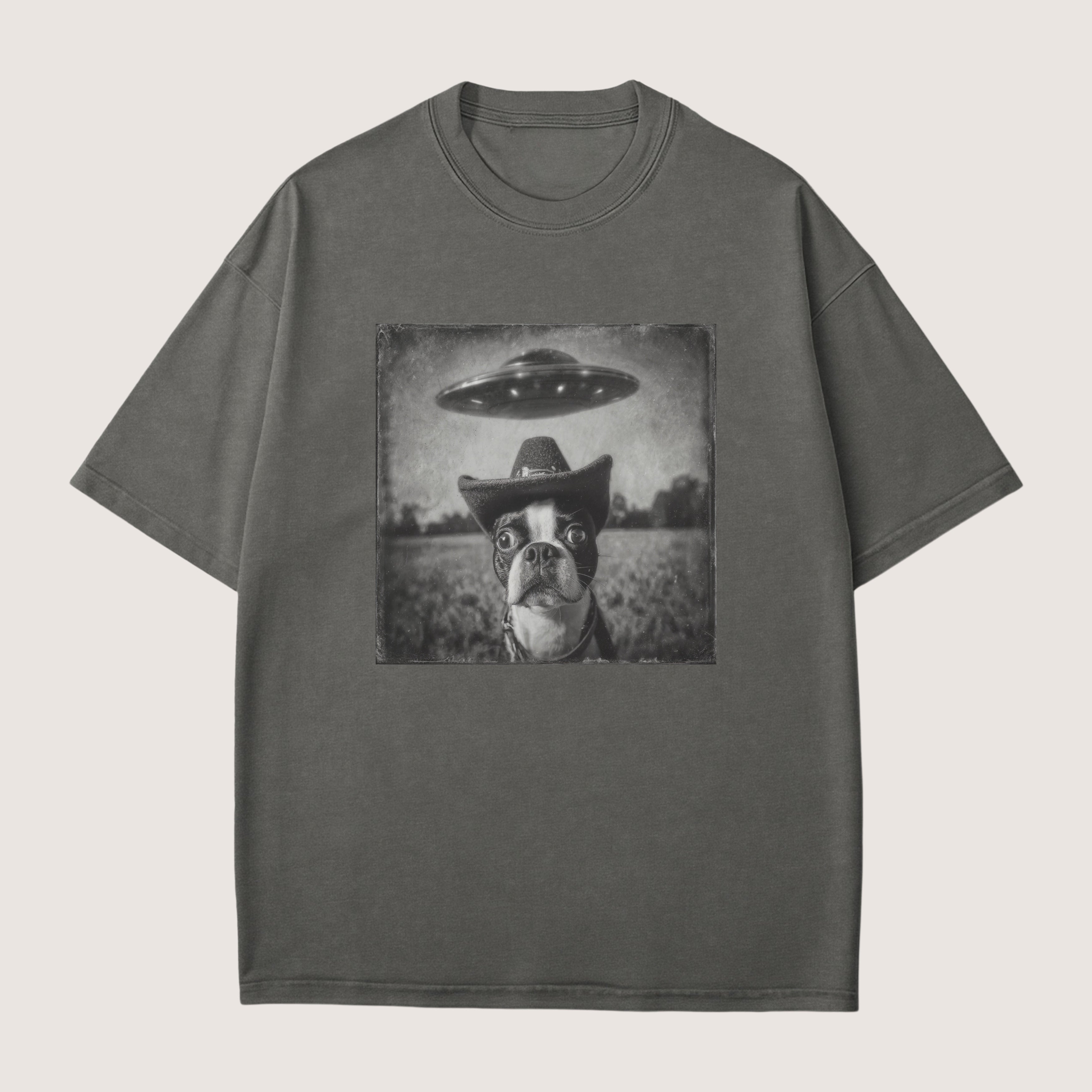 Boston Terrier Dog Funny Shirt