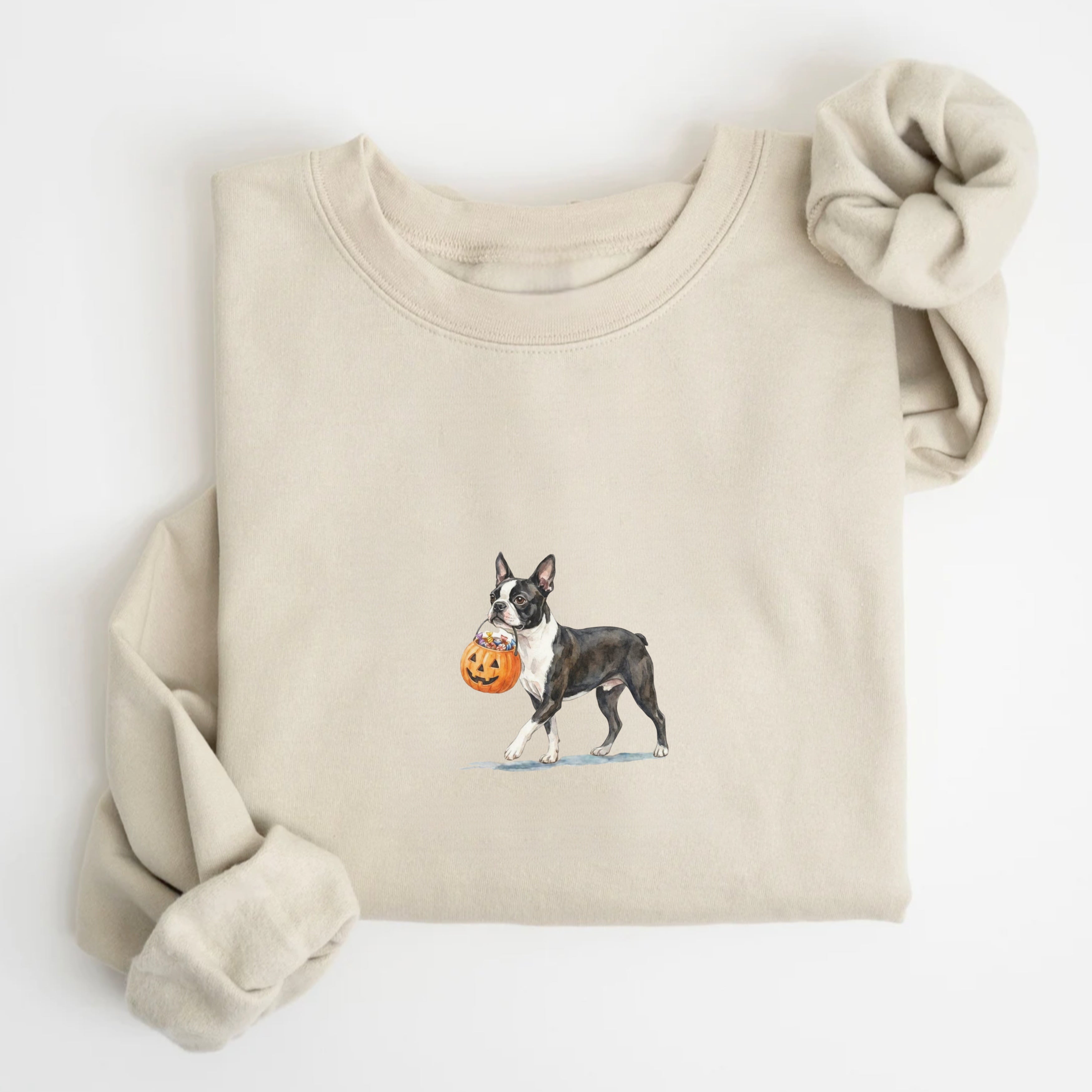 Boston Terrier Halloween Sweatshirt