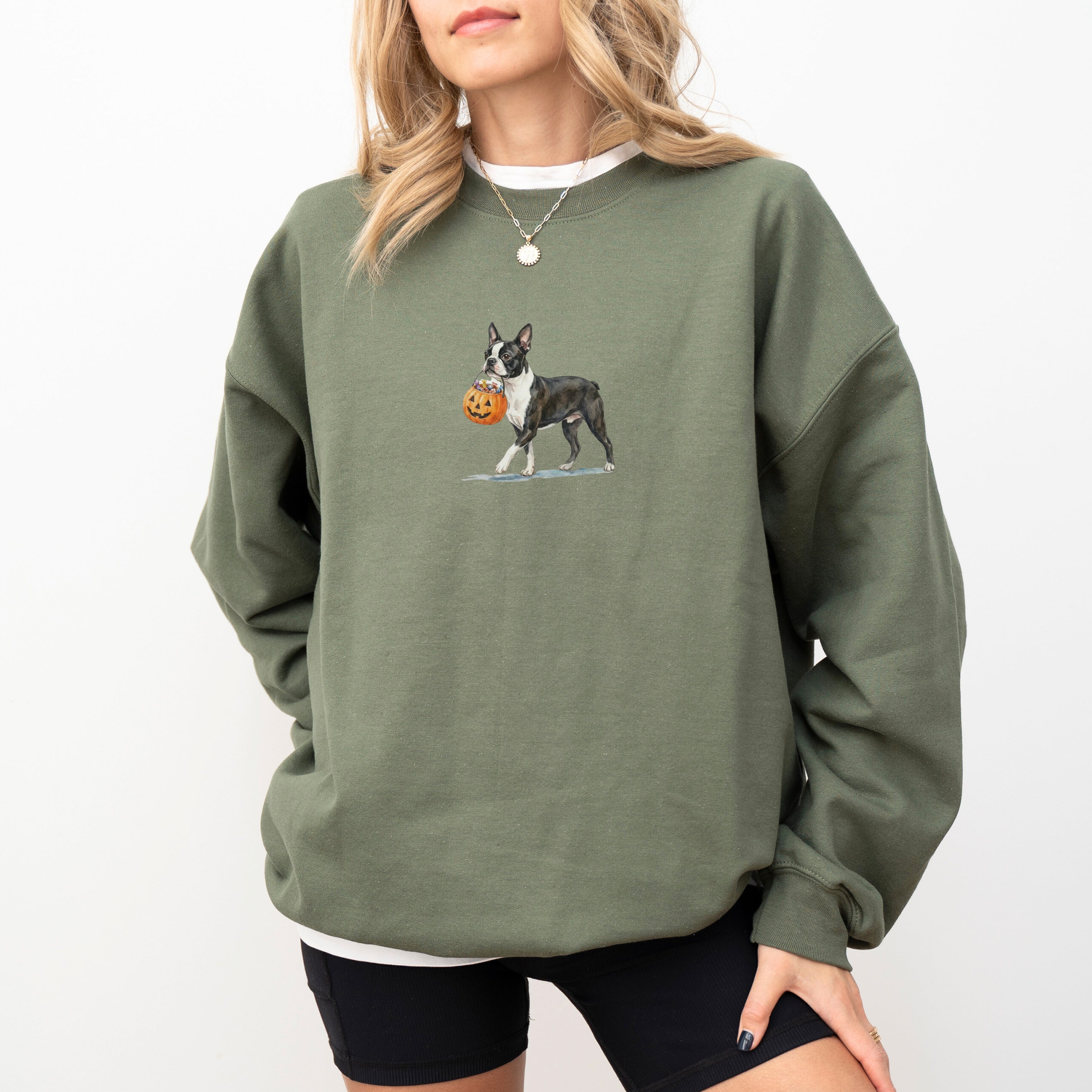 Boston Terrier Halloween Sweatshirt