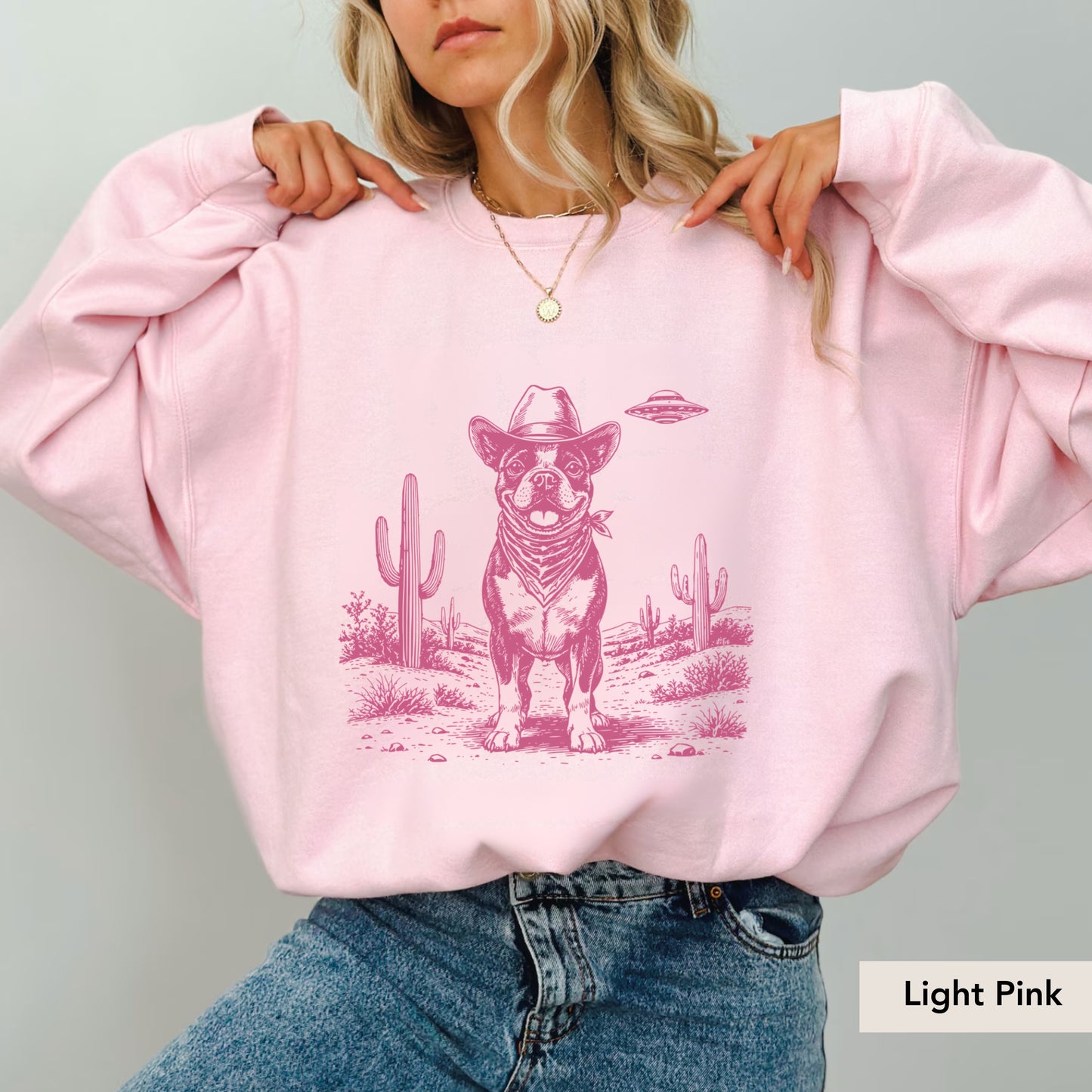 Boston Terrier UFO Sweatshirt