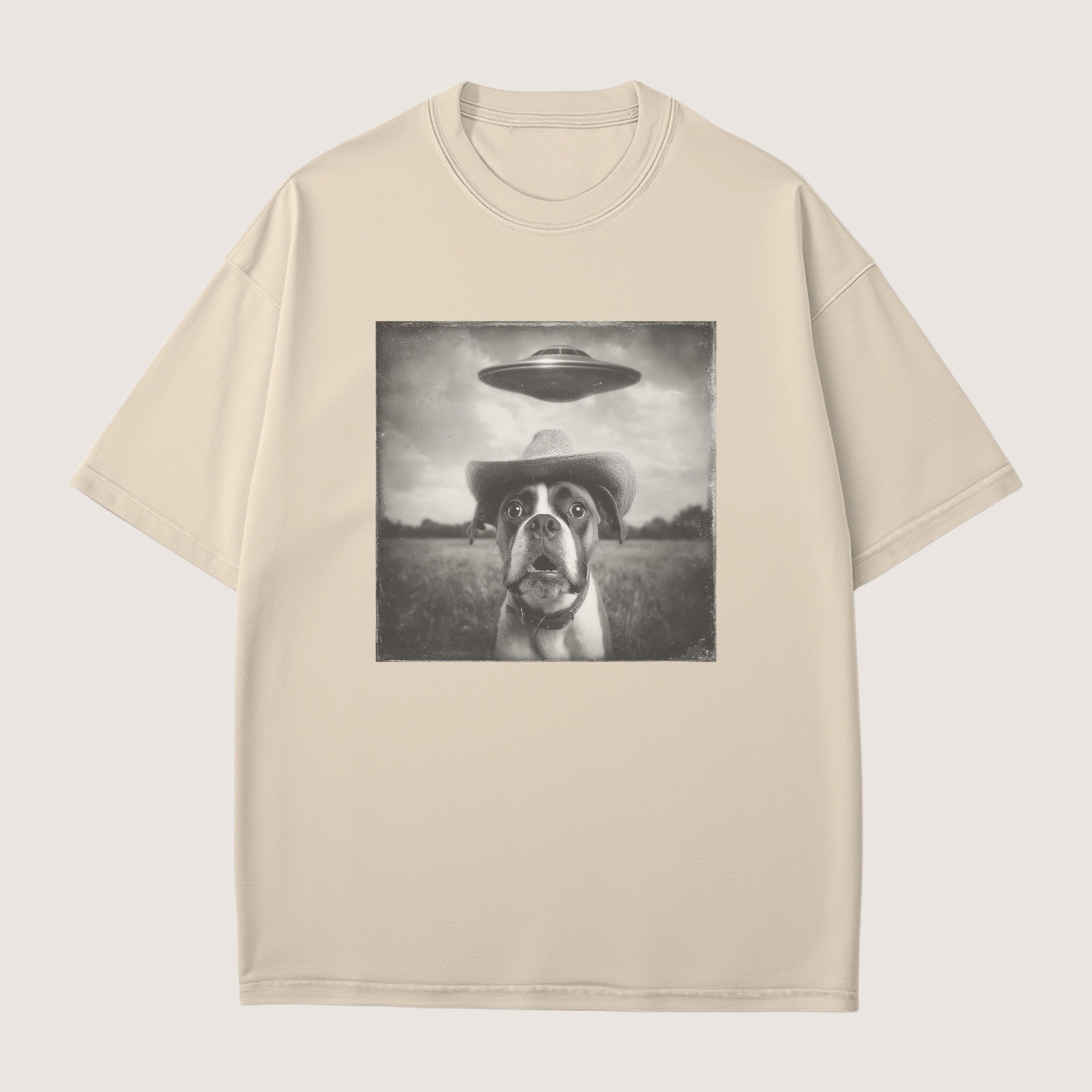 Boxer Dog Funny Shirt