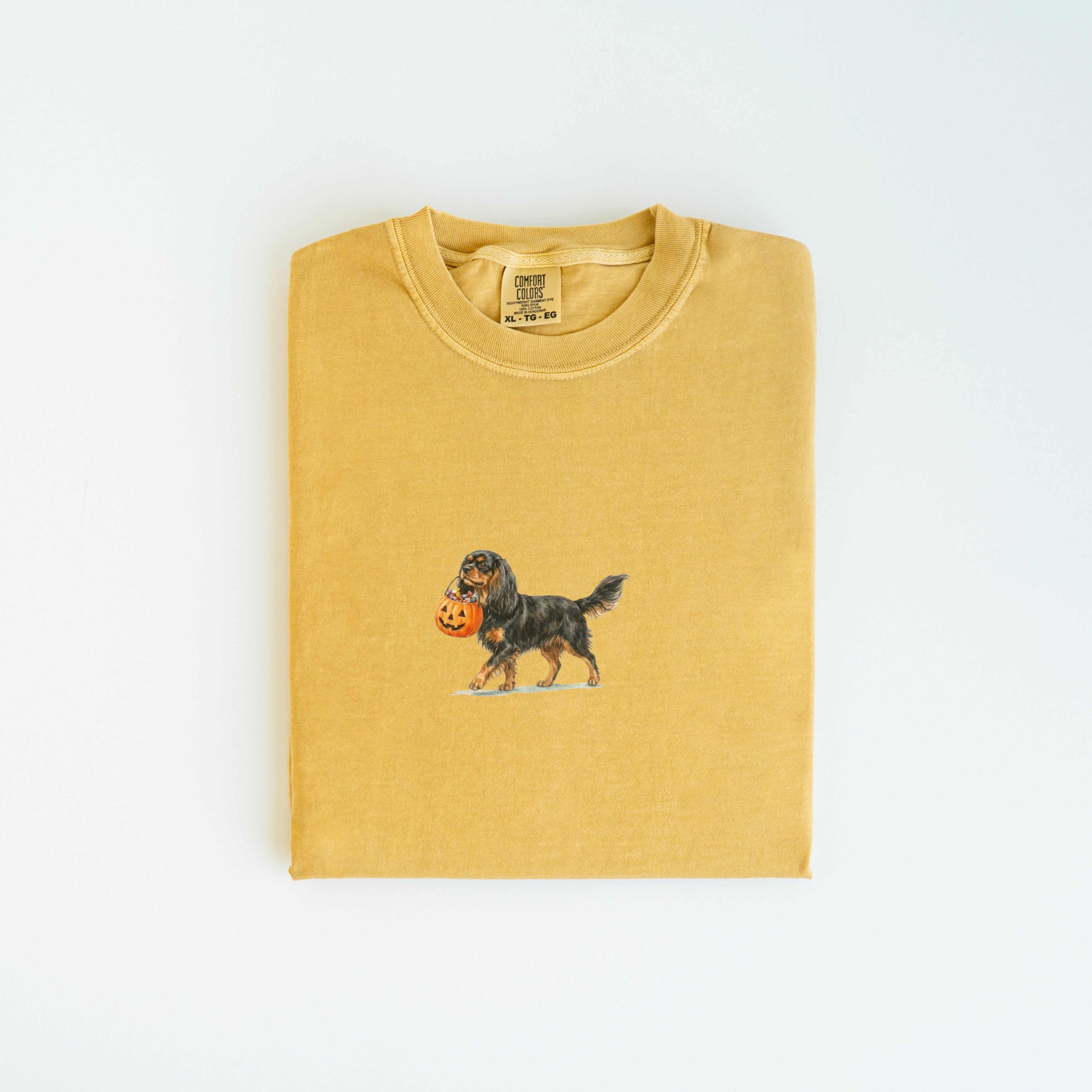 Cavalier Spaniel Black and Tan Halloween T-shirt