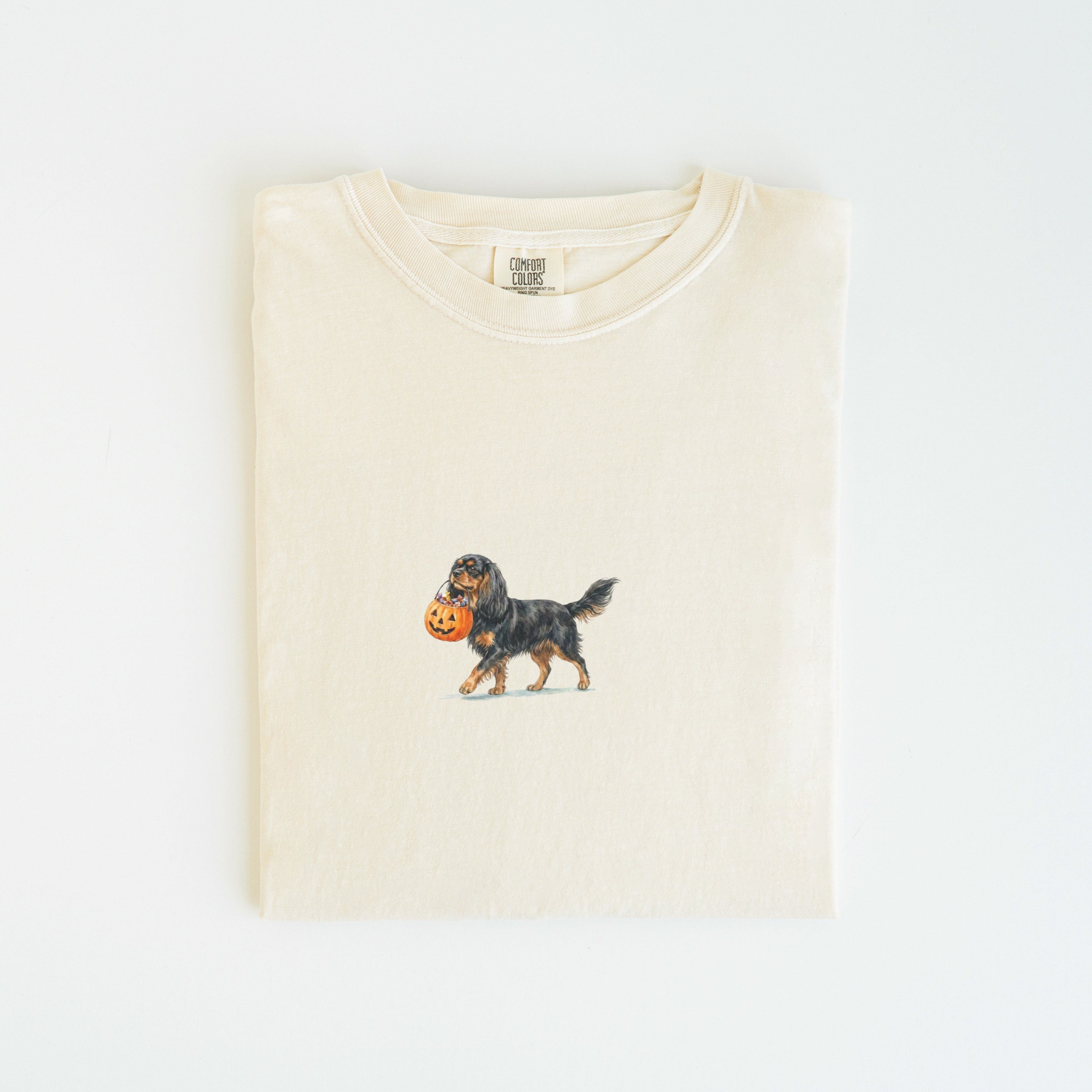 Cavalier Spaniel Black and Tan Halloween T-shirt