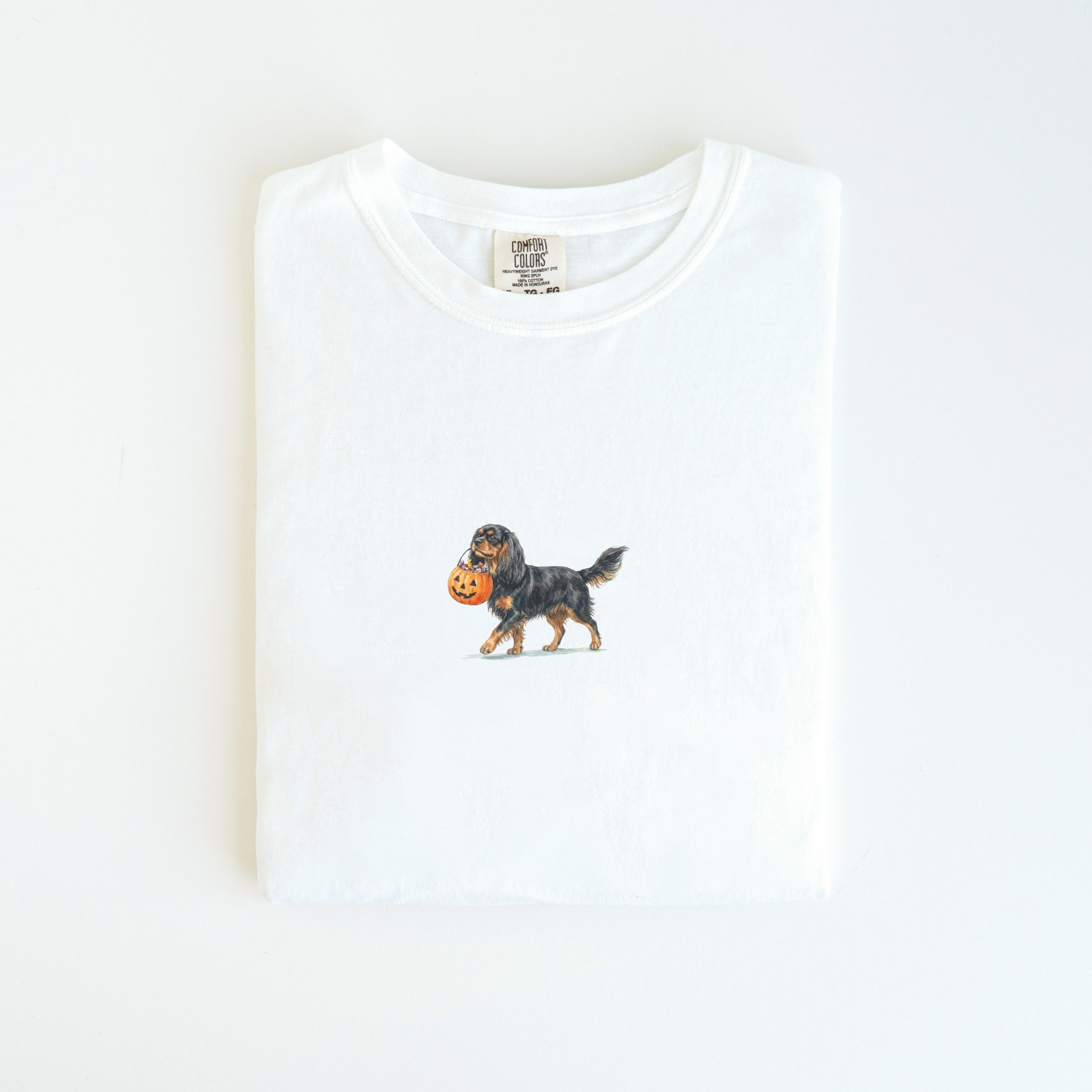 Cavalier Spaniel Black and Tan Halloween T-shirt