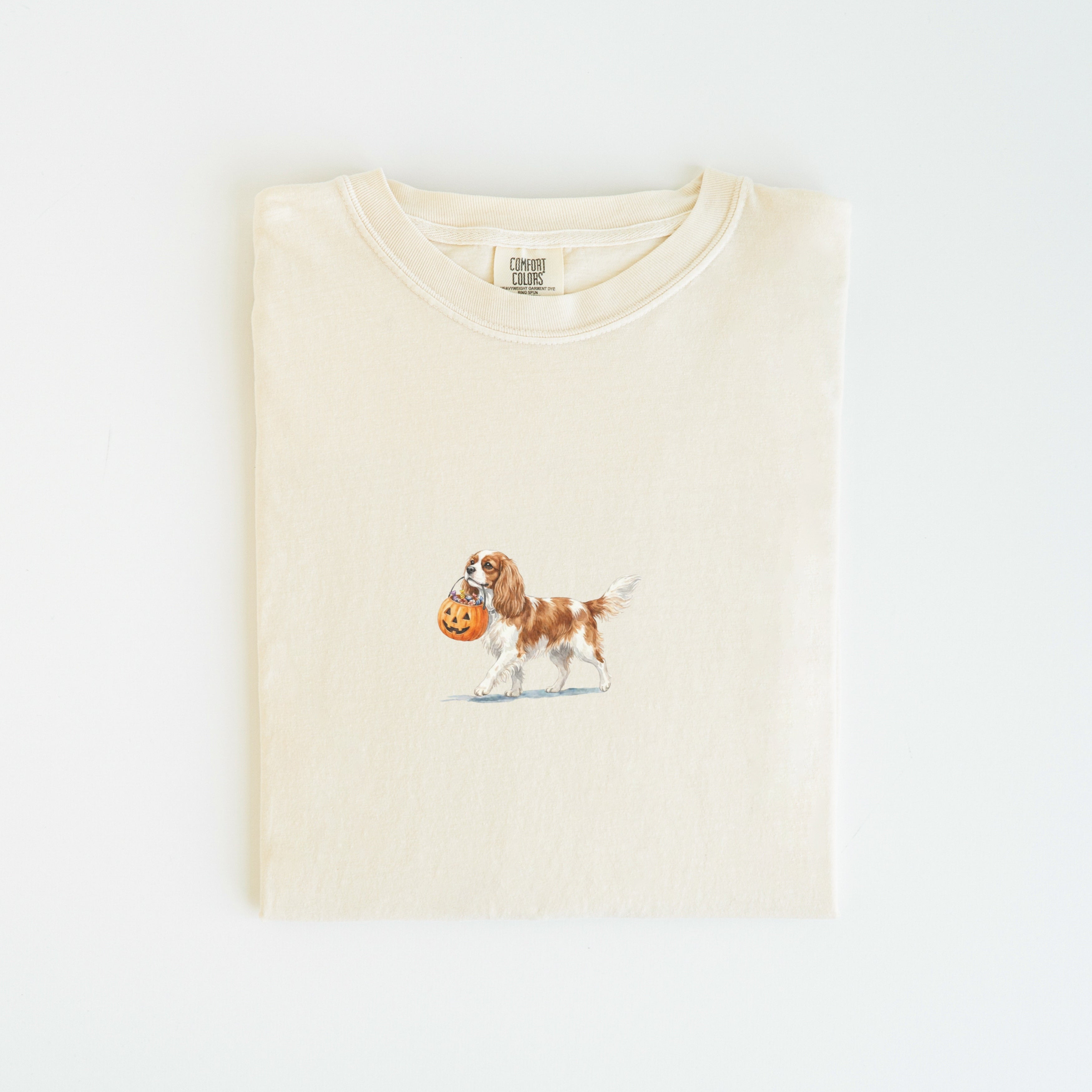 Cavalier Spaniel Halloween T-shirt
