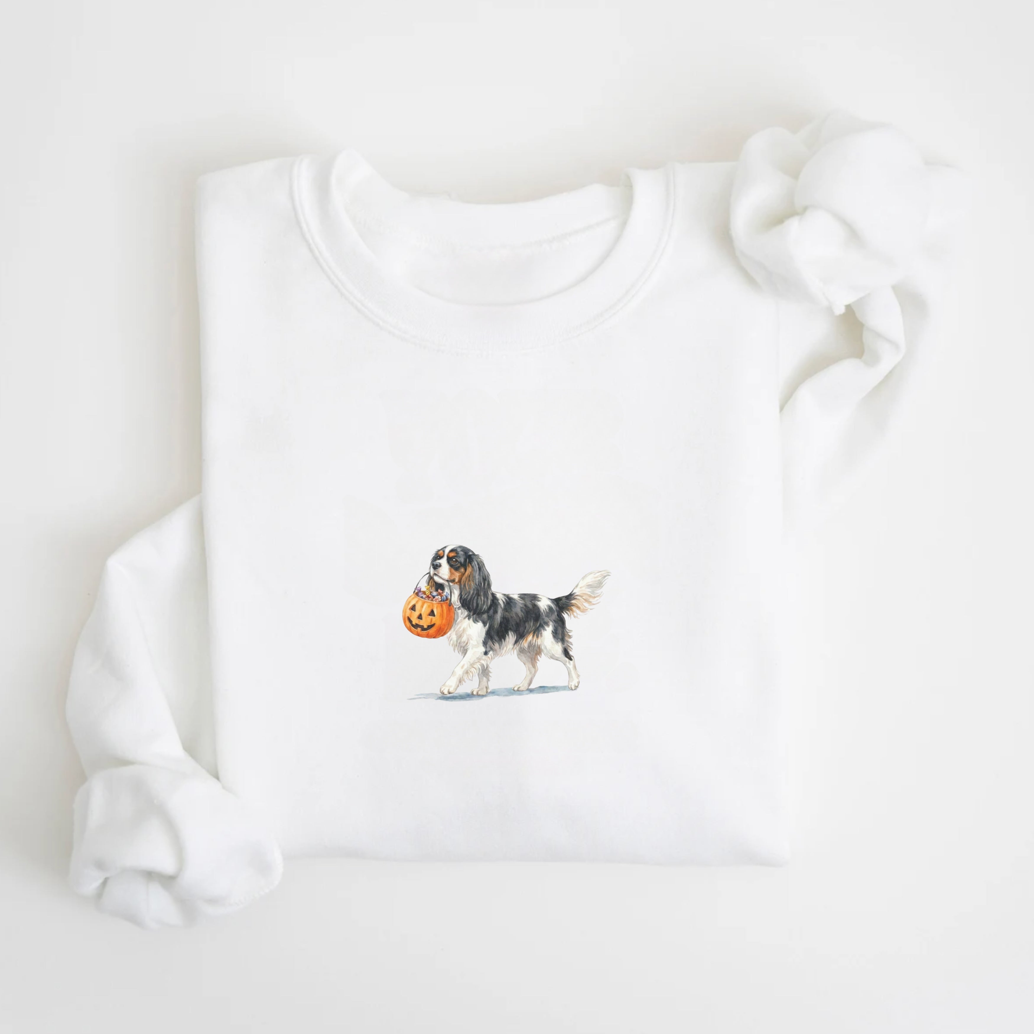 Cavalier Spaniel Tri Color Halloween Sweatshirt