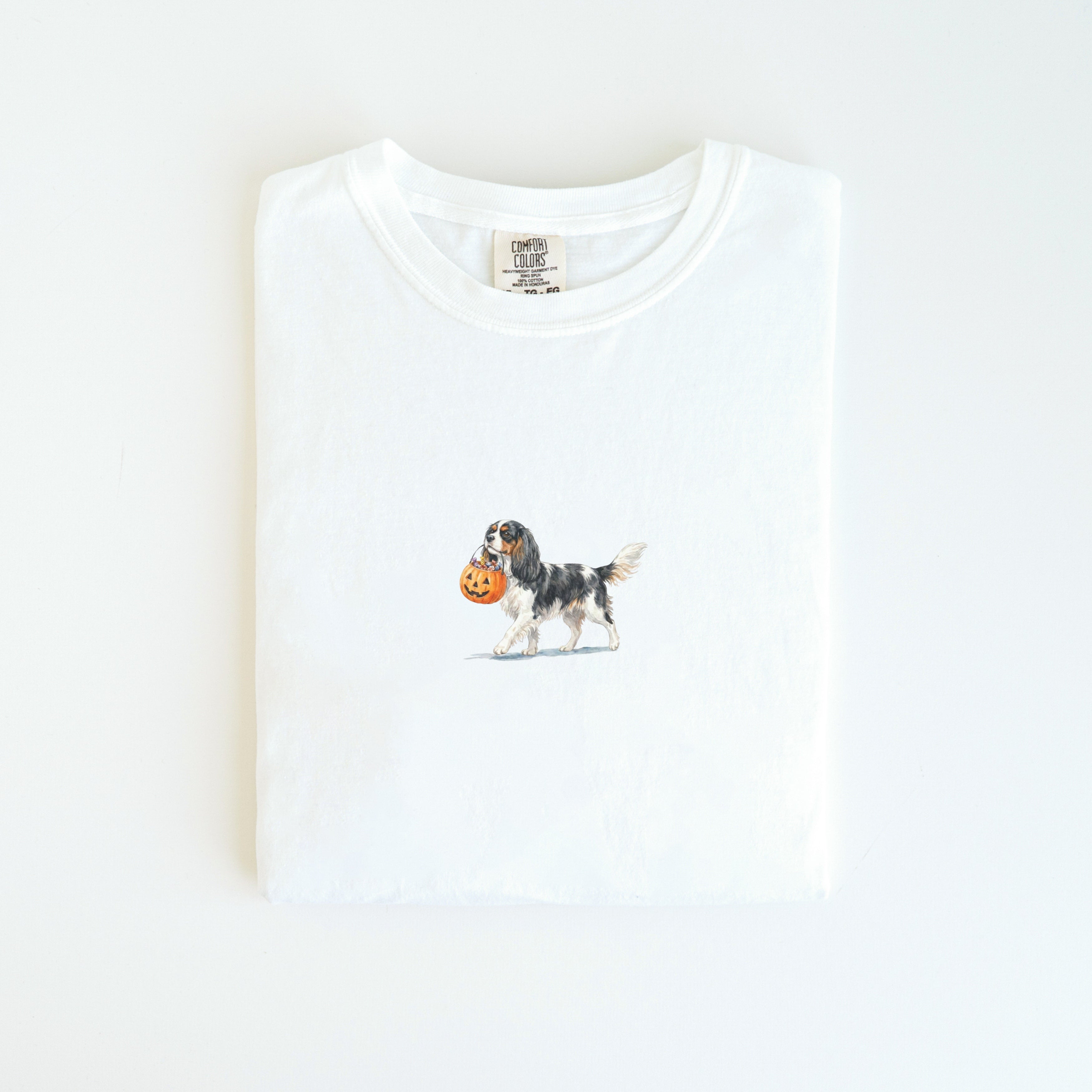 Cavalier Spaniel Tri color Halloween T-shirt