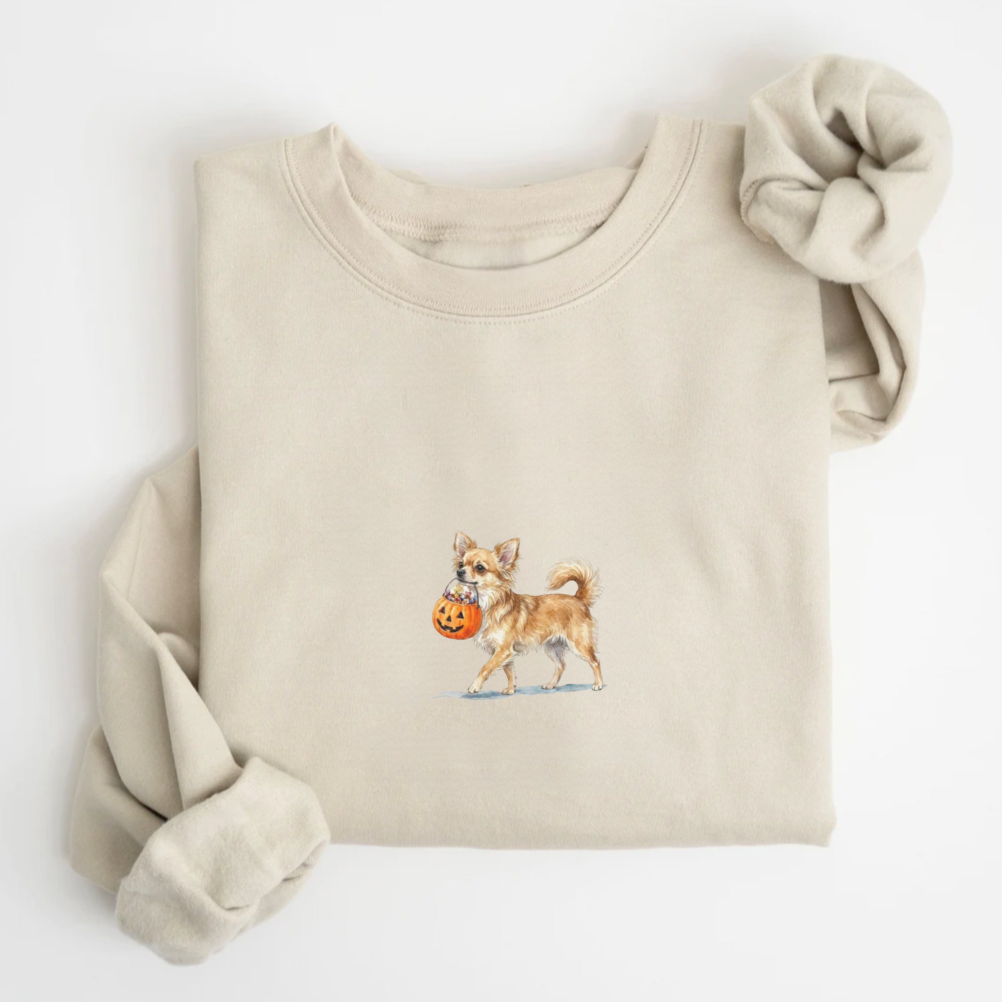 Chihuahua Long Haired Halloween Sweatshirt