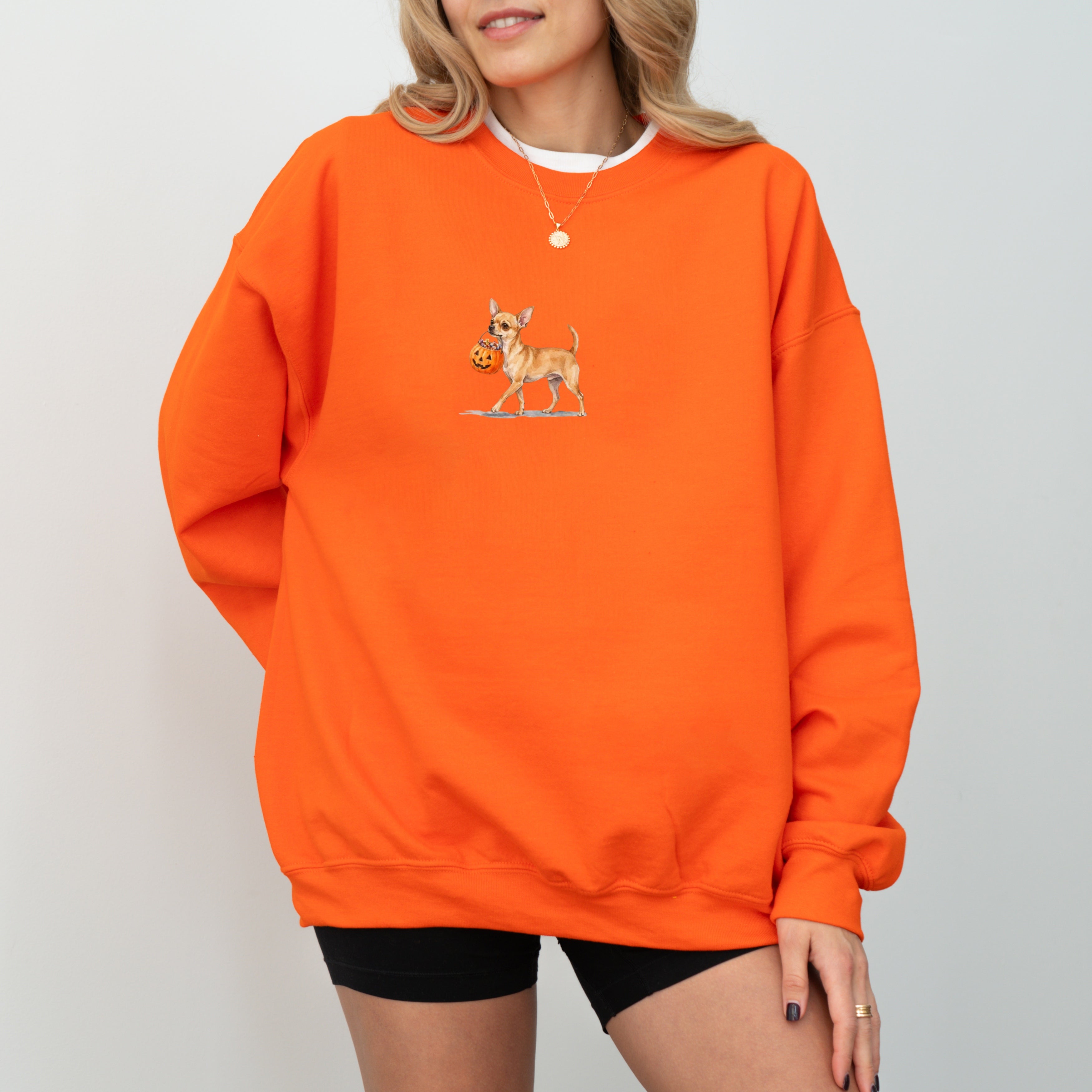 Chihuahua Short Haired Halloween Sweatshirt