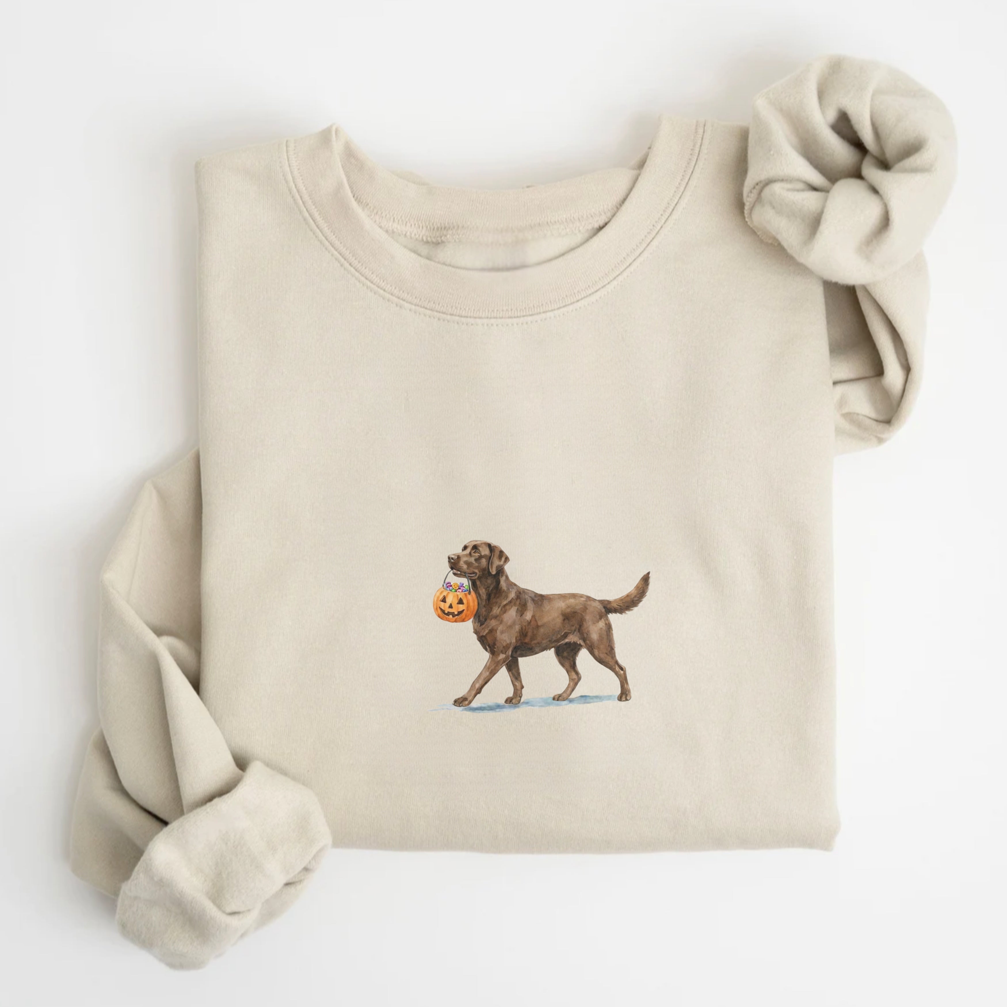 Chocolate Labrador Halloween Sweatshirt