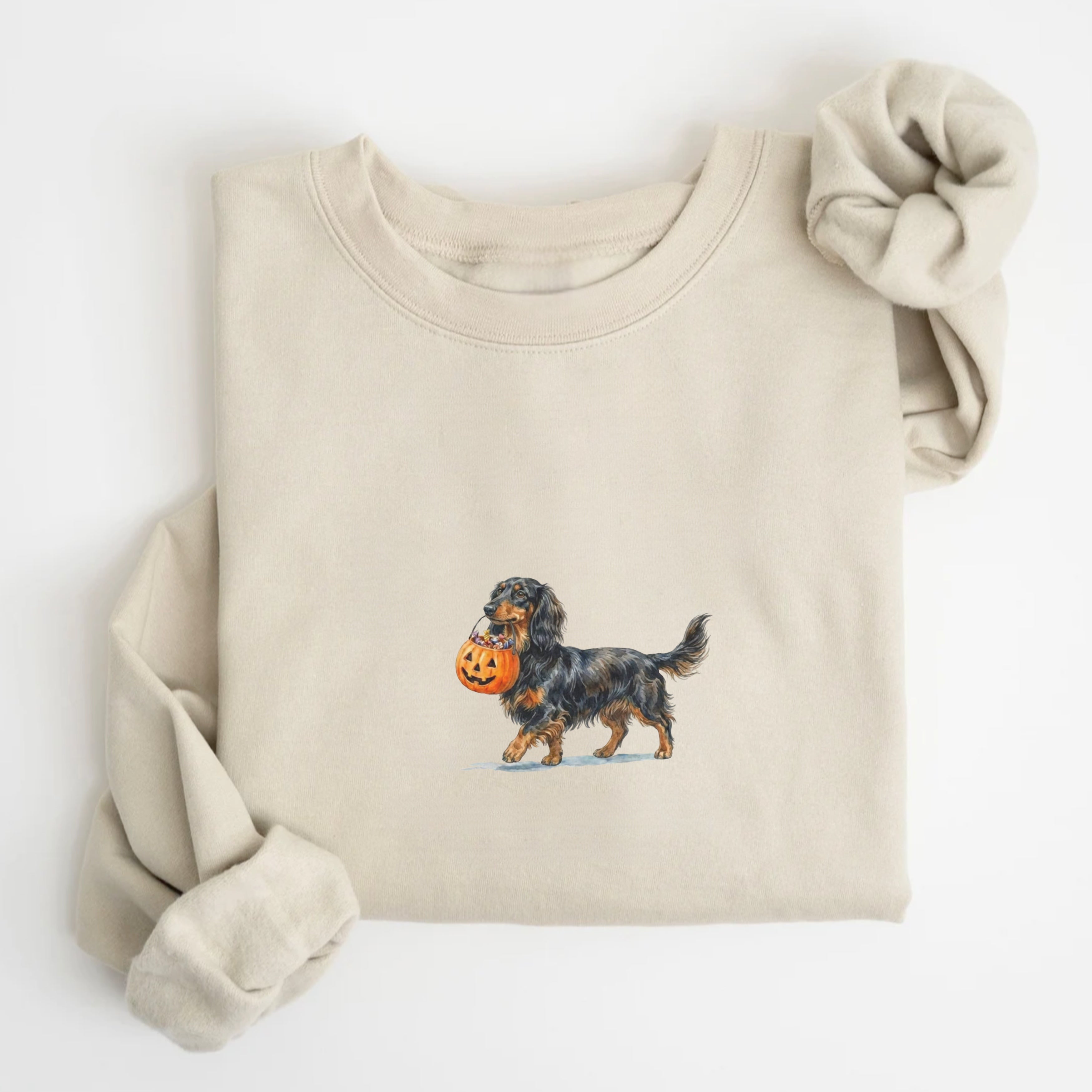 Dachshund LH Black And Tan Halloween Sweatshirt