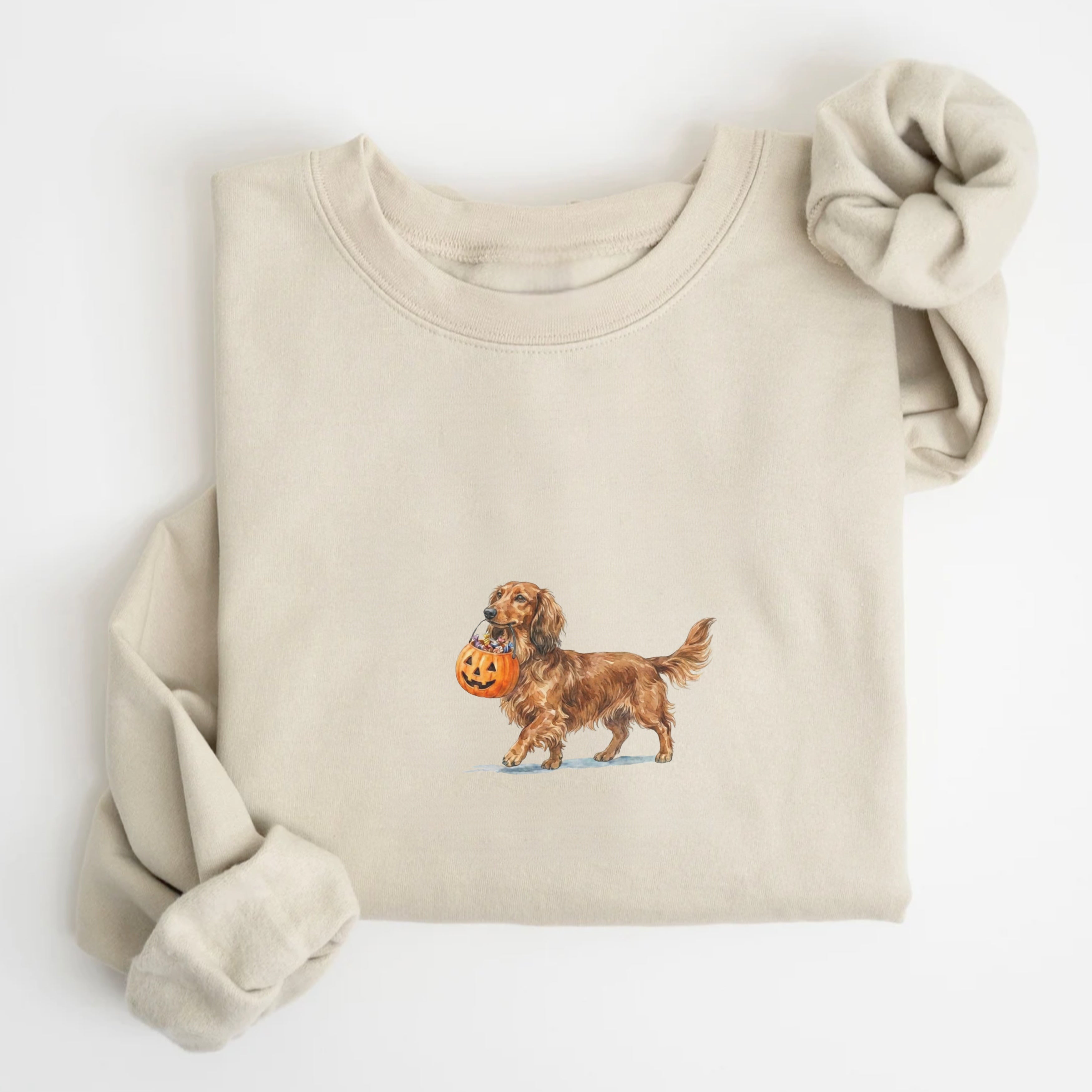 Dachshund Long Haired Halloween Sweatshirt