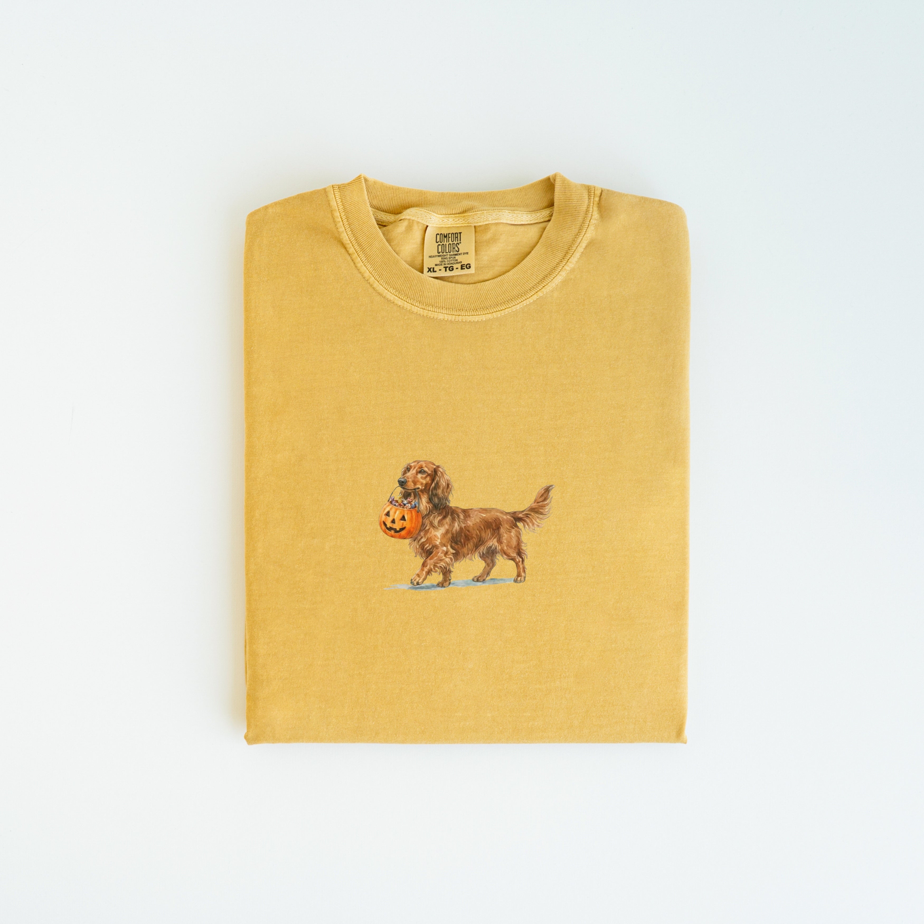 Dachshund Long Haired Halloween T-shirt