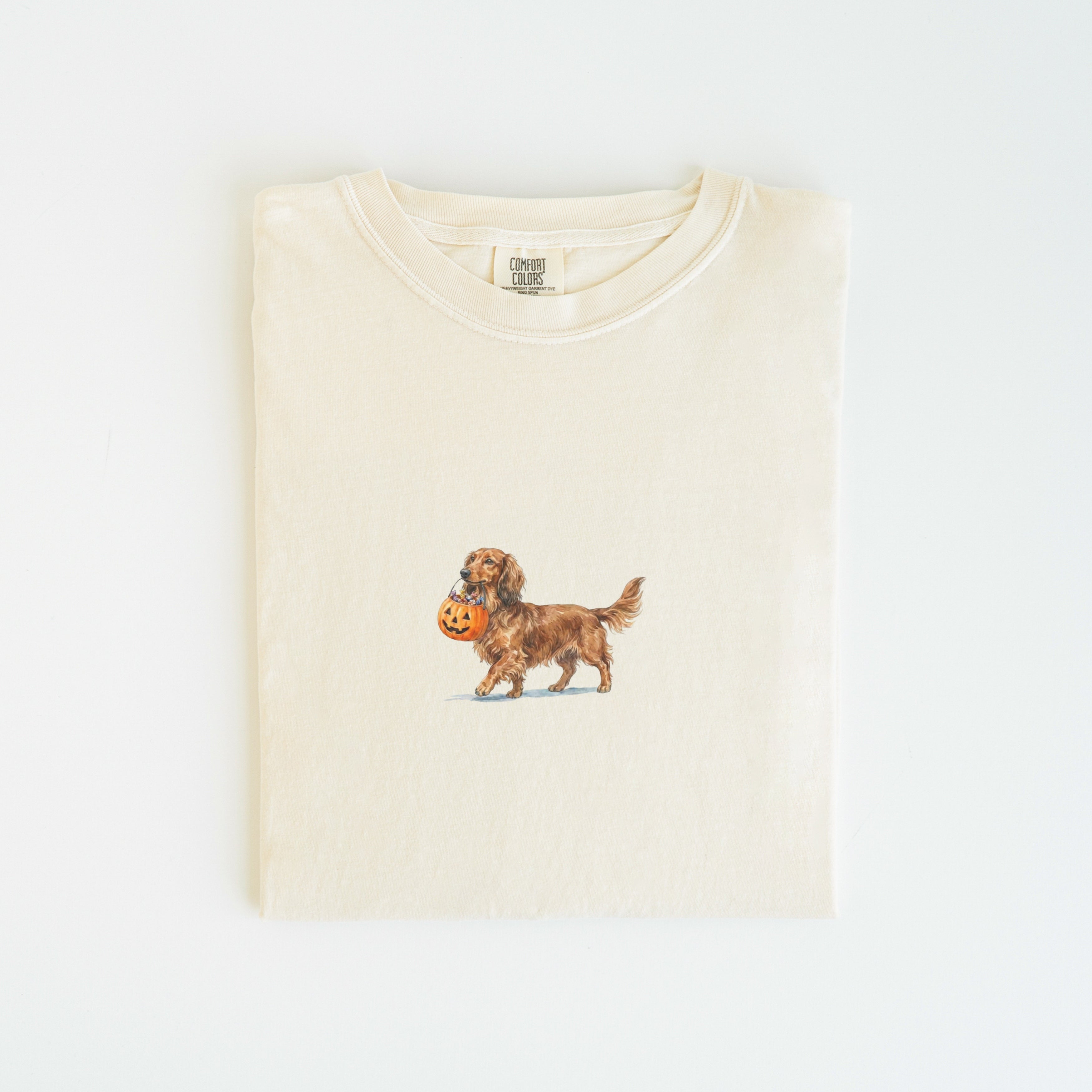 Dachshund Long Haired Halloween T-shirt