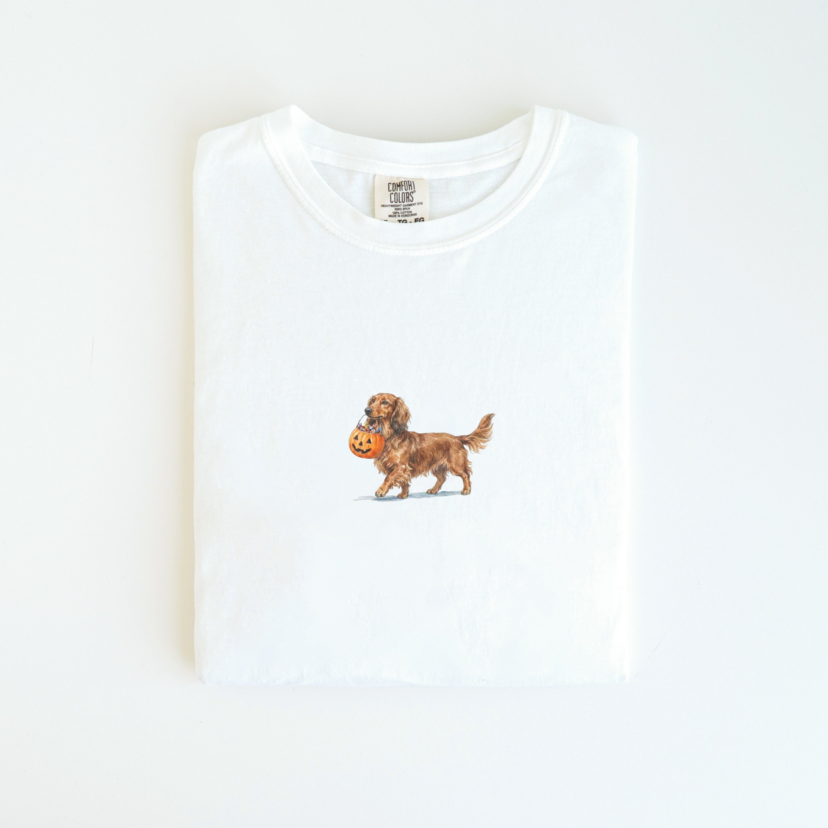 Dachshund Long Haired Halloween T-shirt