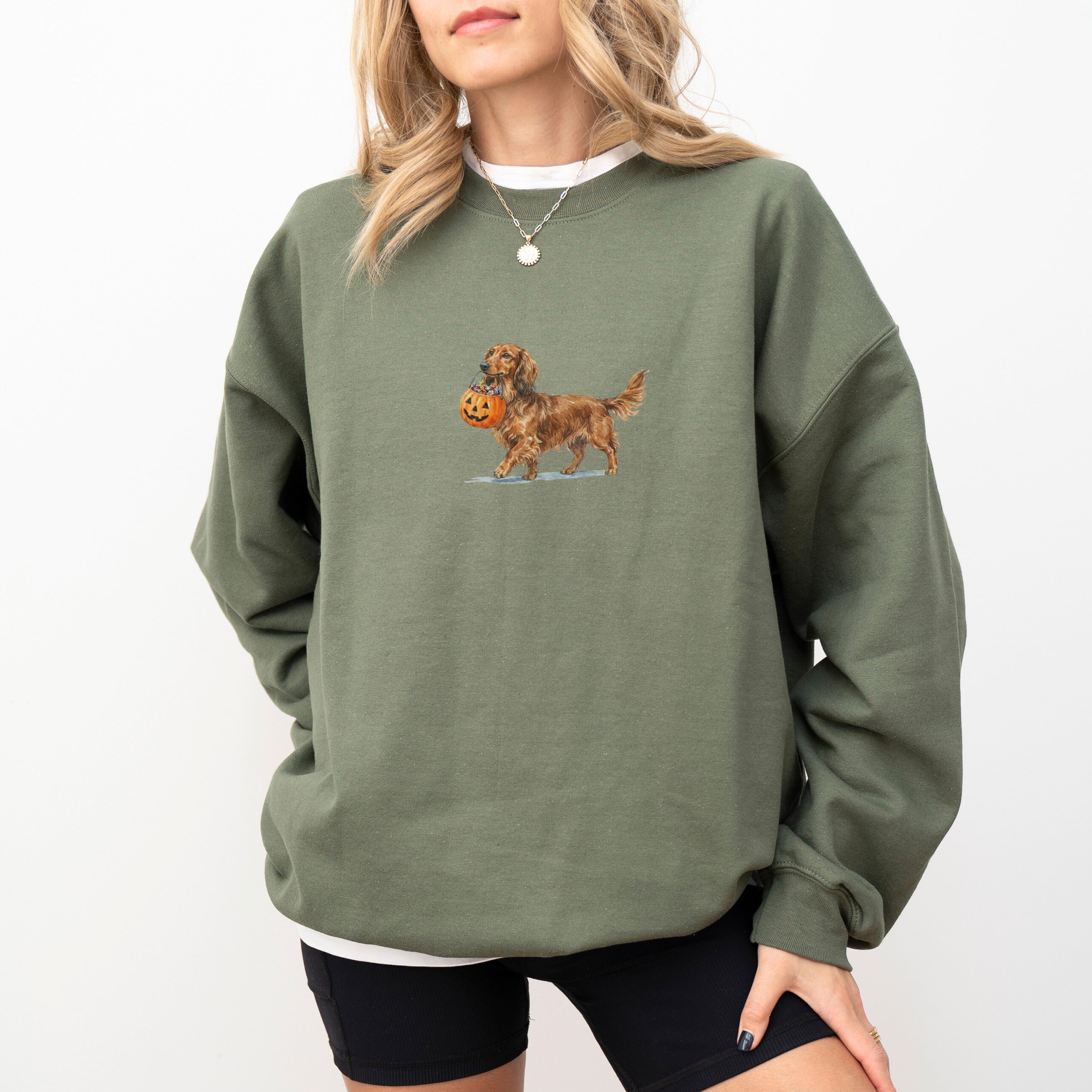 Dachshund Long Haired Halloween Sweatshirt