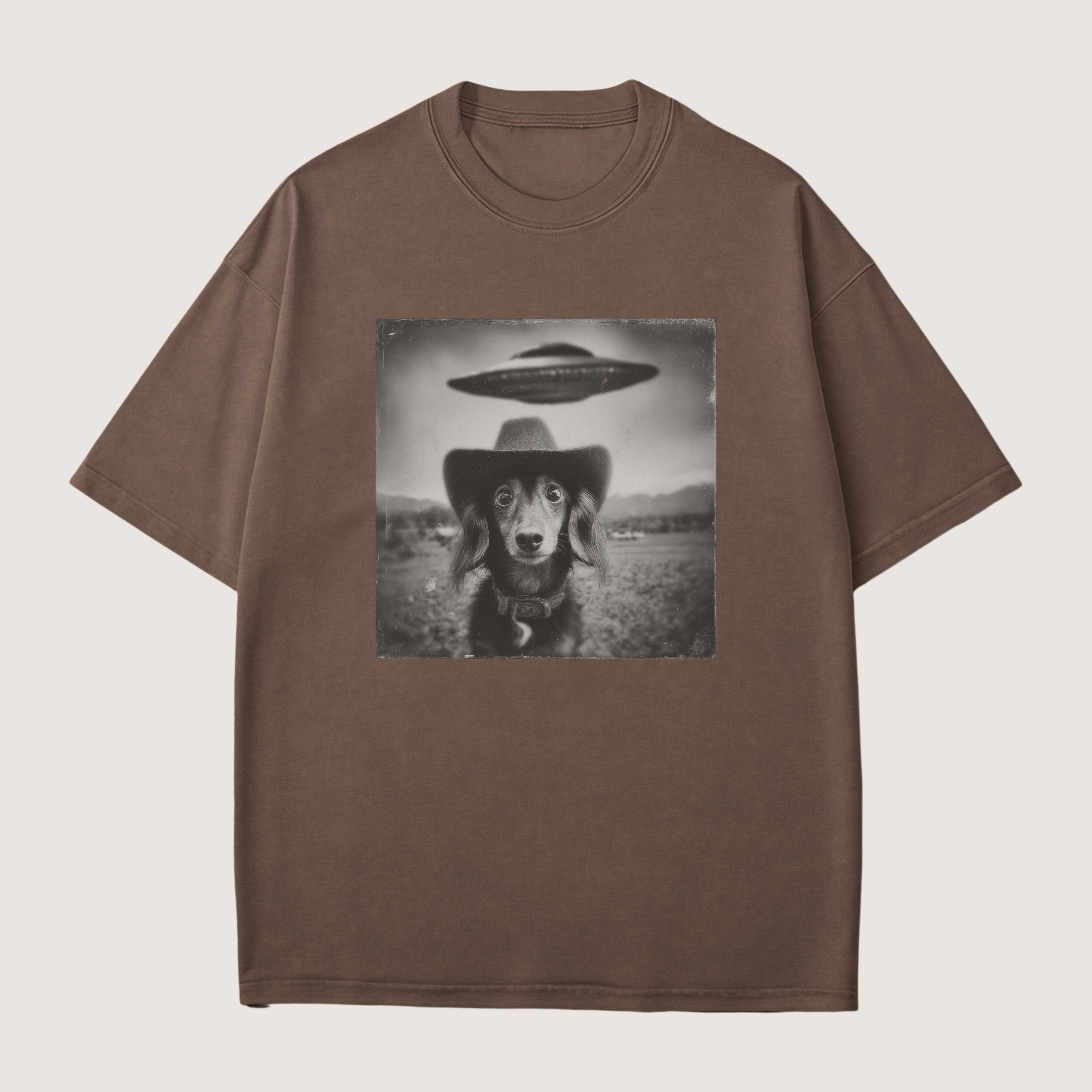 Dachshund Long Haired Dog Funny Shirt