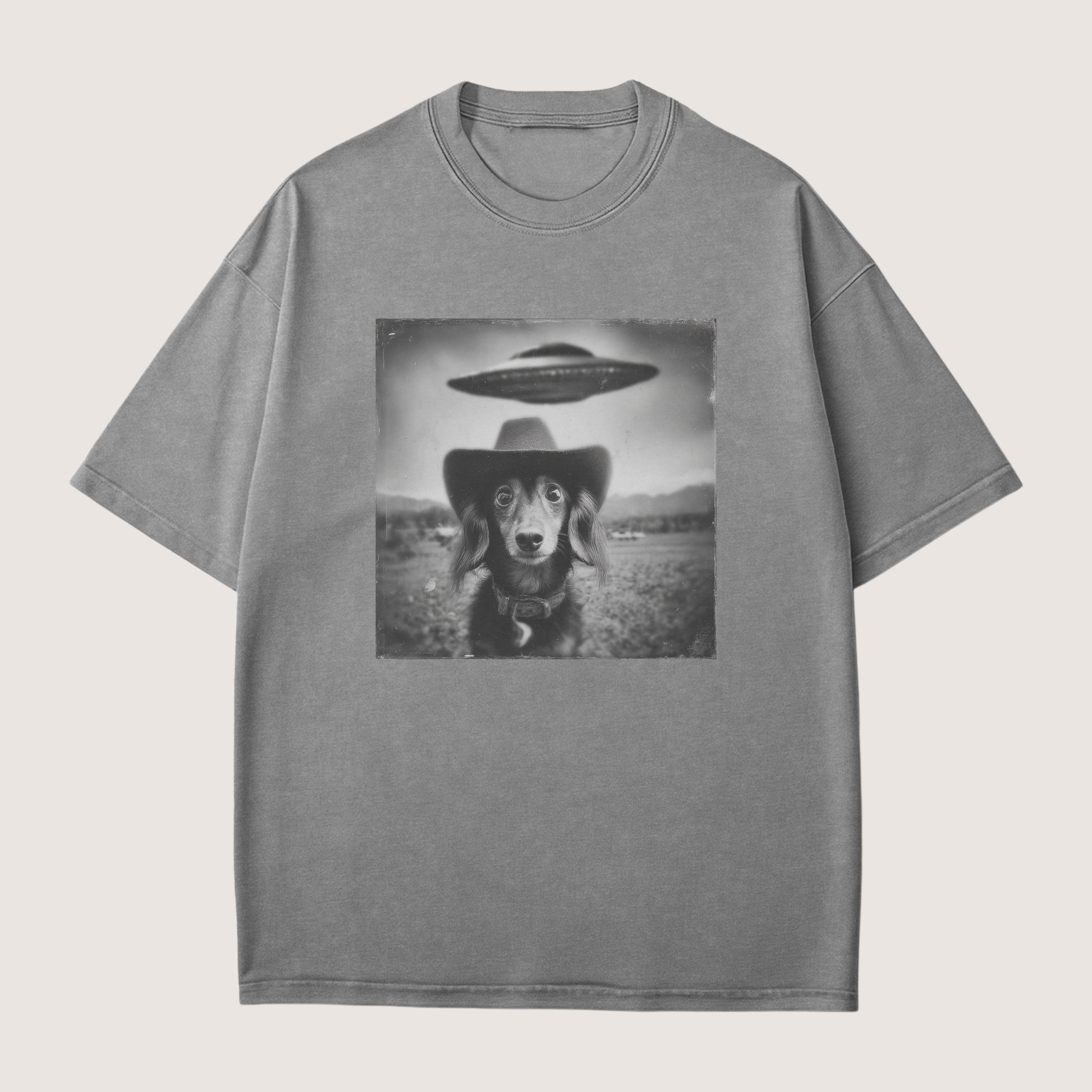 Dachshund Long Haired Dog Funny Shirt