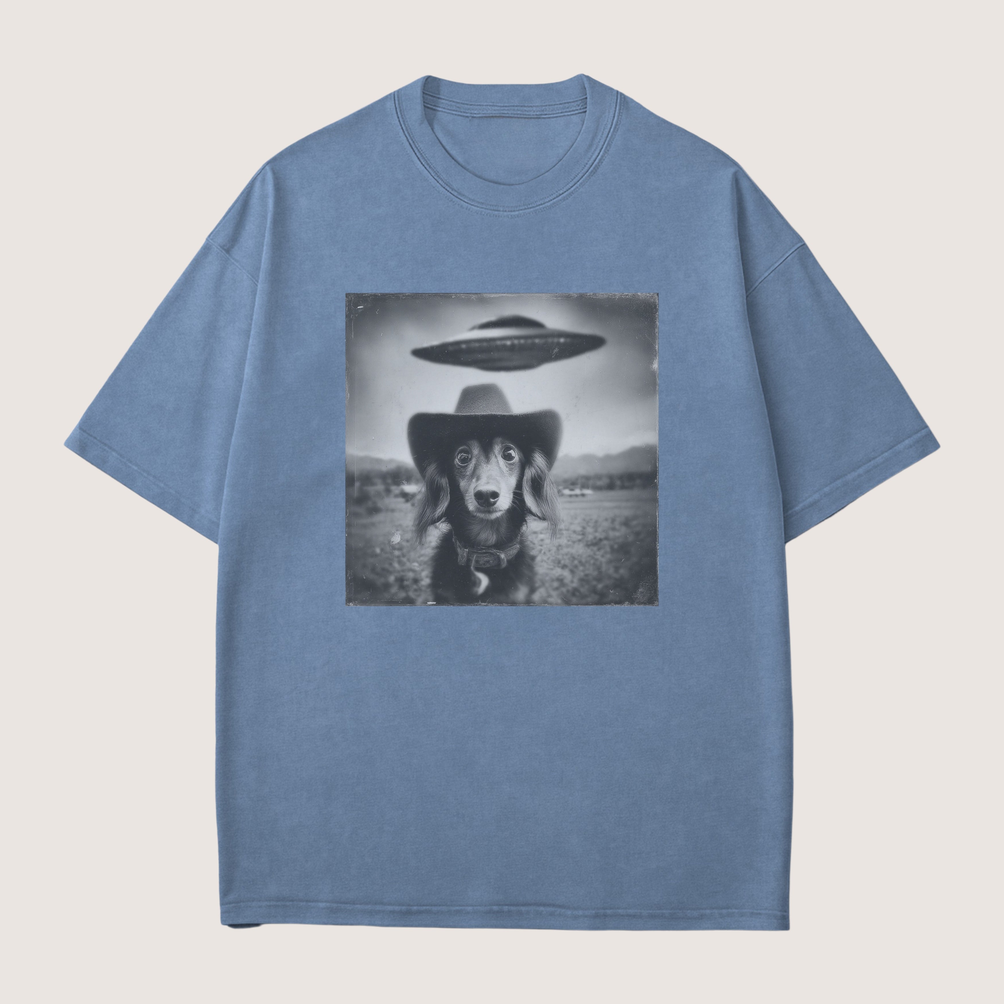 Dachshund Long Haired Dog Funny Shirt