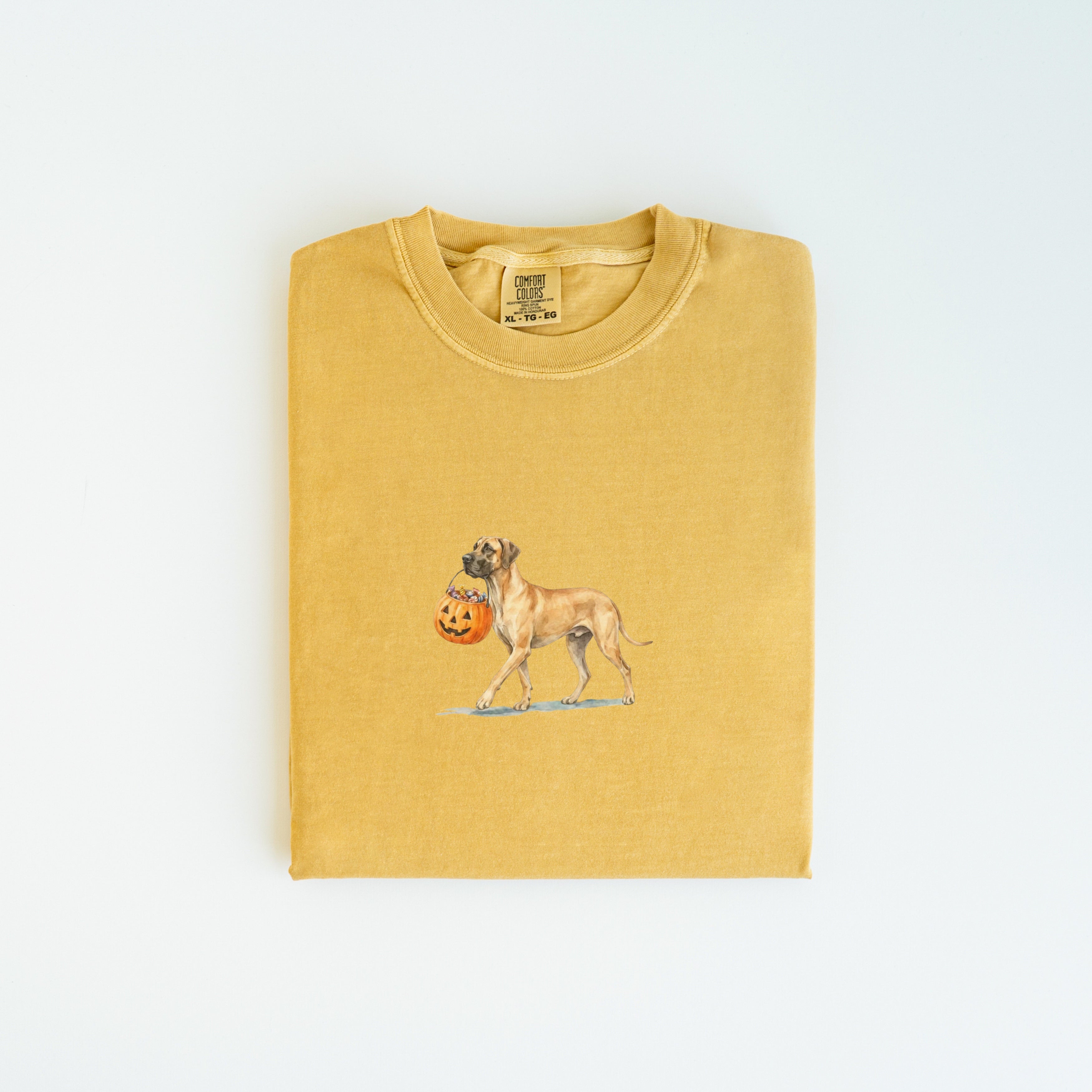 Great Dane Halloween T-shirt