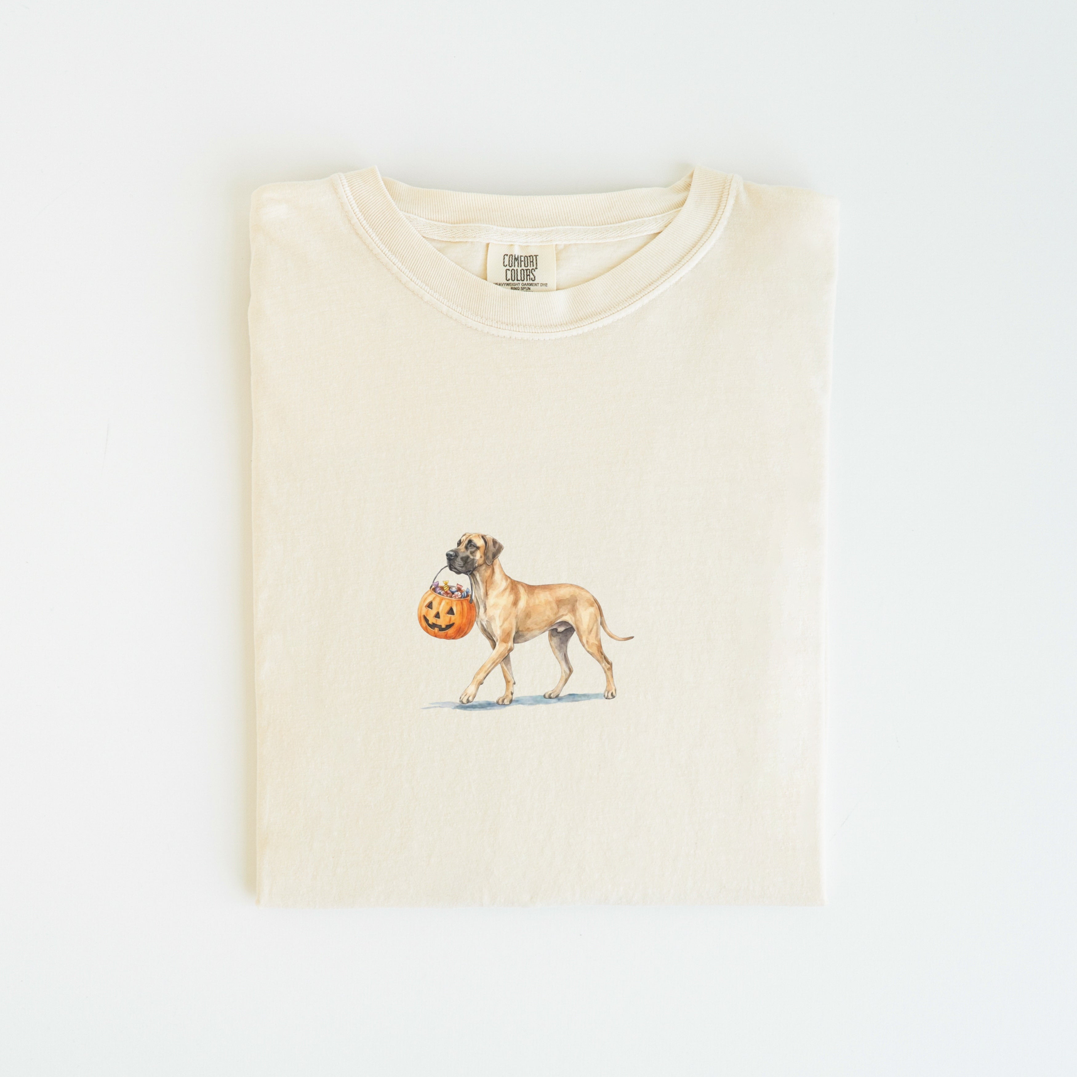 Great Dane Halloween T-shirt