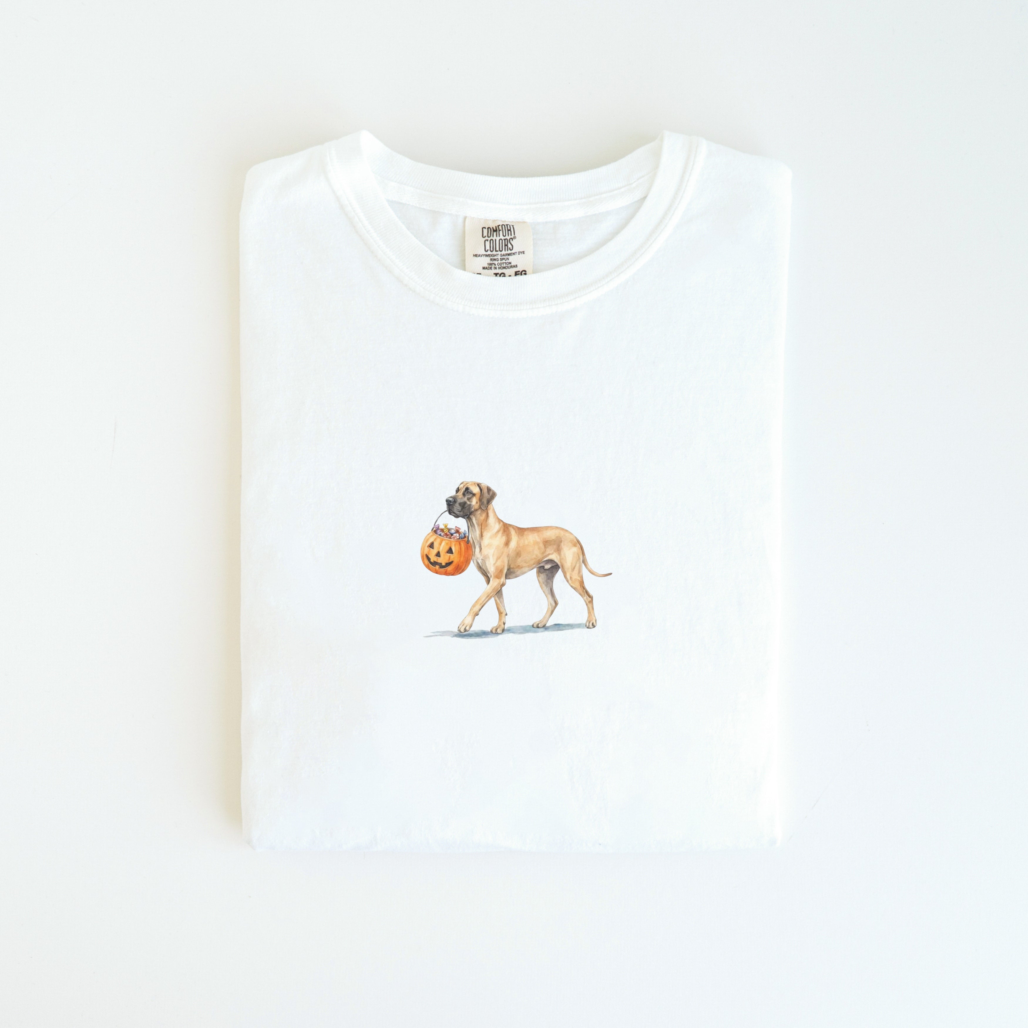 Great Dane Halloween T-shirt